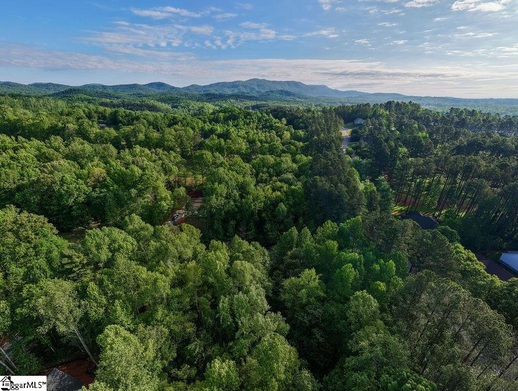 4 Laurel Valley, Travelers Rest, South Carolina image 1