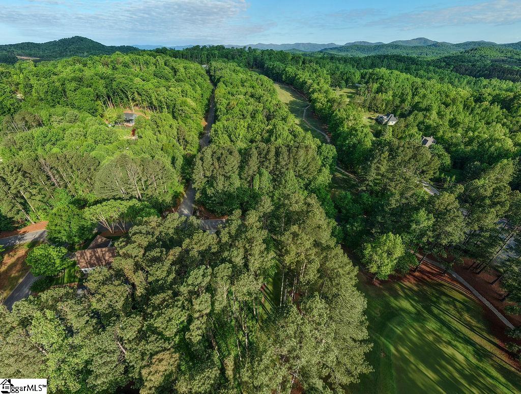 4 Laurel Valley, Travelers Rest, South Carolina image 5