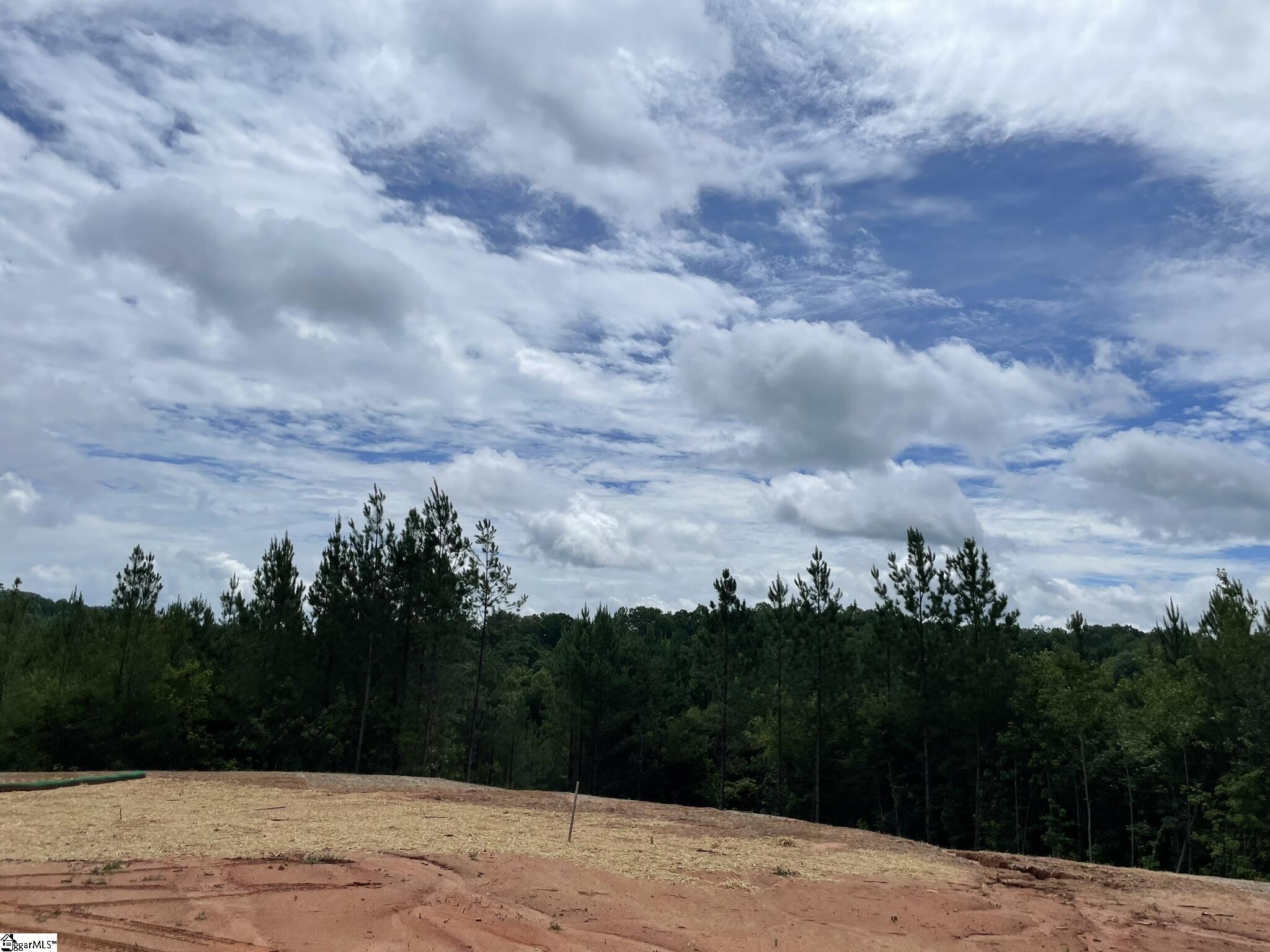 38 Old Plantation, Travelers Rest, South Carolina image 11