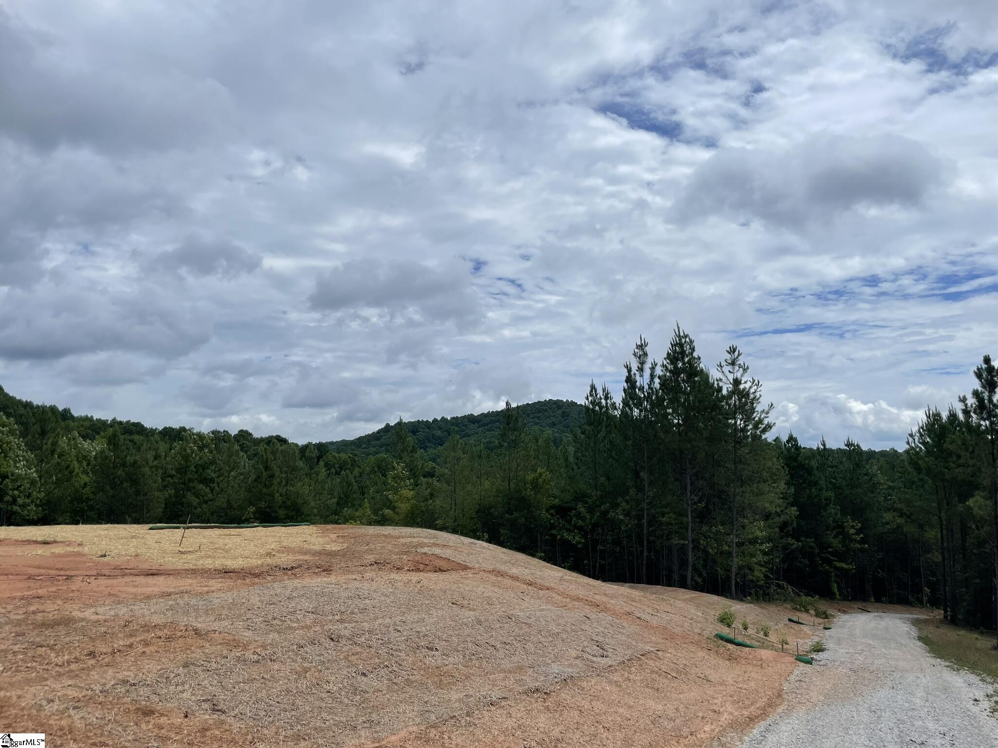 38 Old Plantation, Travelers Rest, South Carolina image 14
