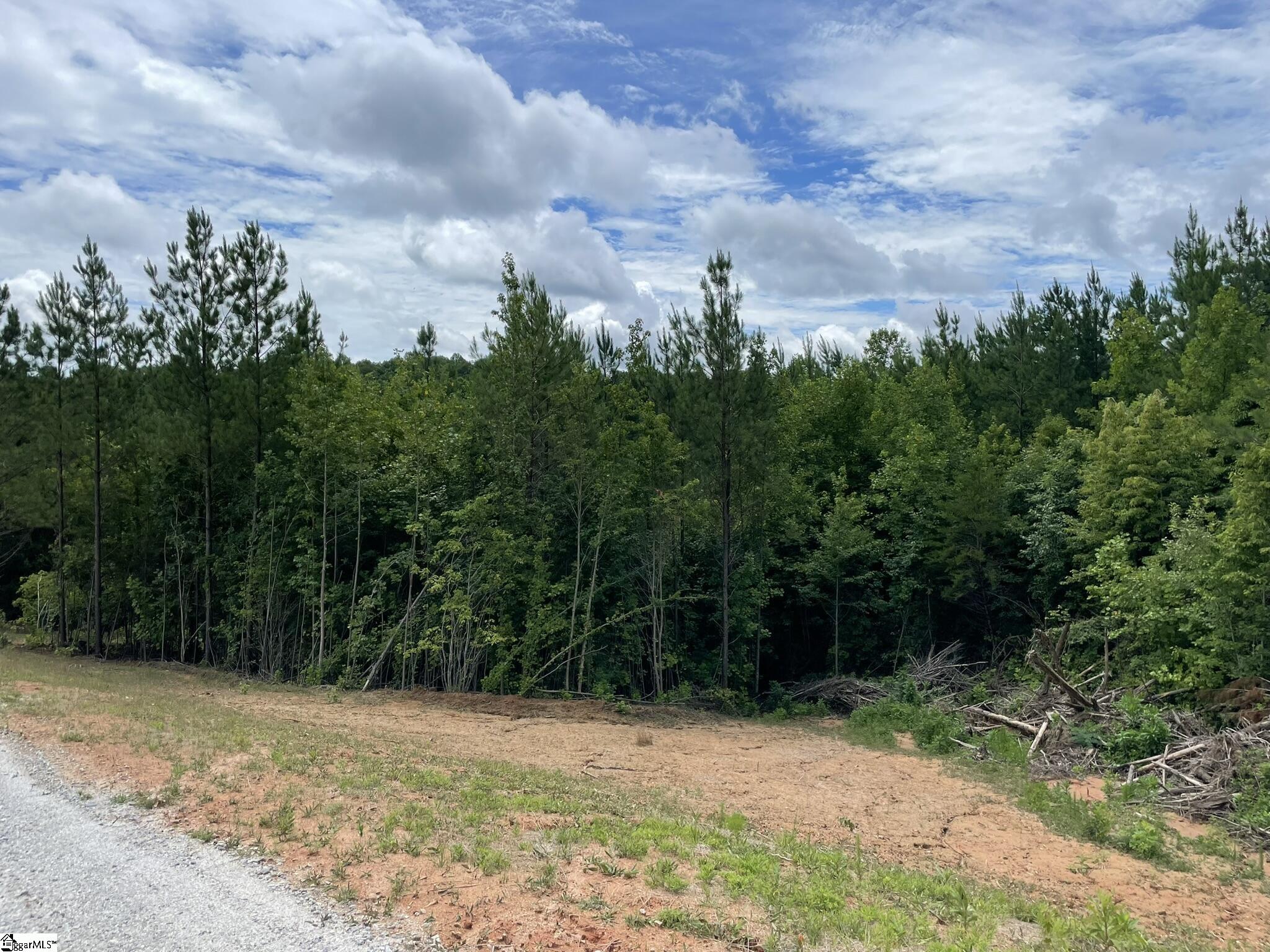 38 Old Plantation, Travelers Rest, South Carolina image 15