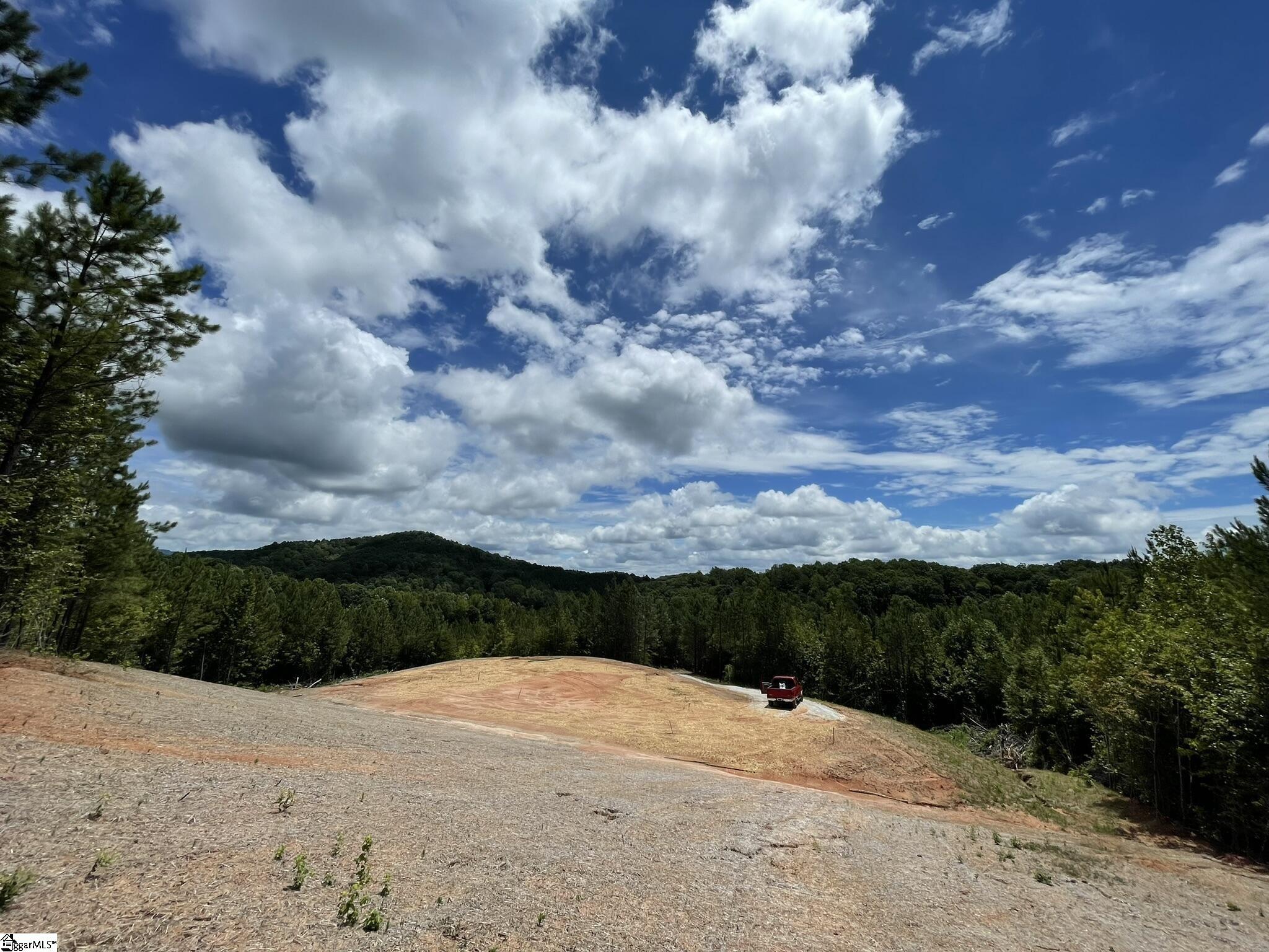 38 Old Plantation, Travelers Rest, South Carolina image 16