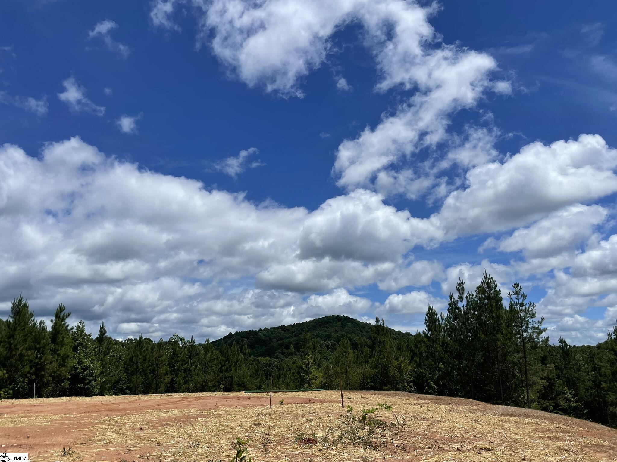 38 Old Plantation, Travelers Rest, South Carolina image 19