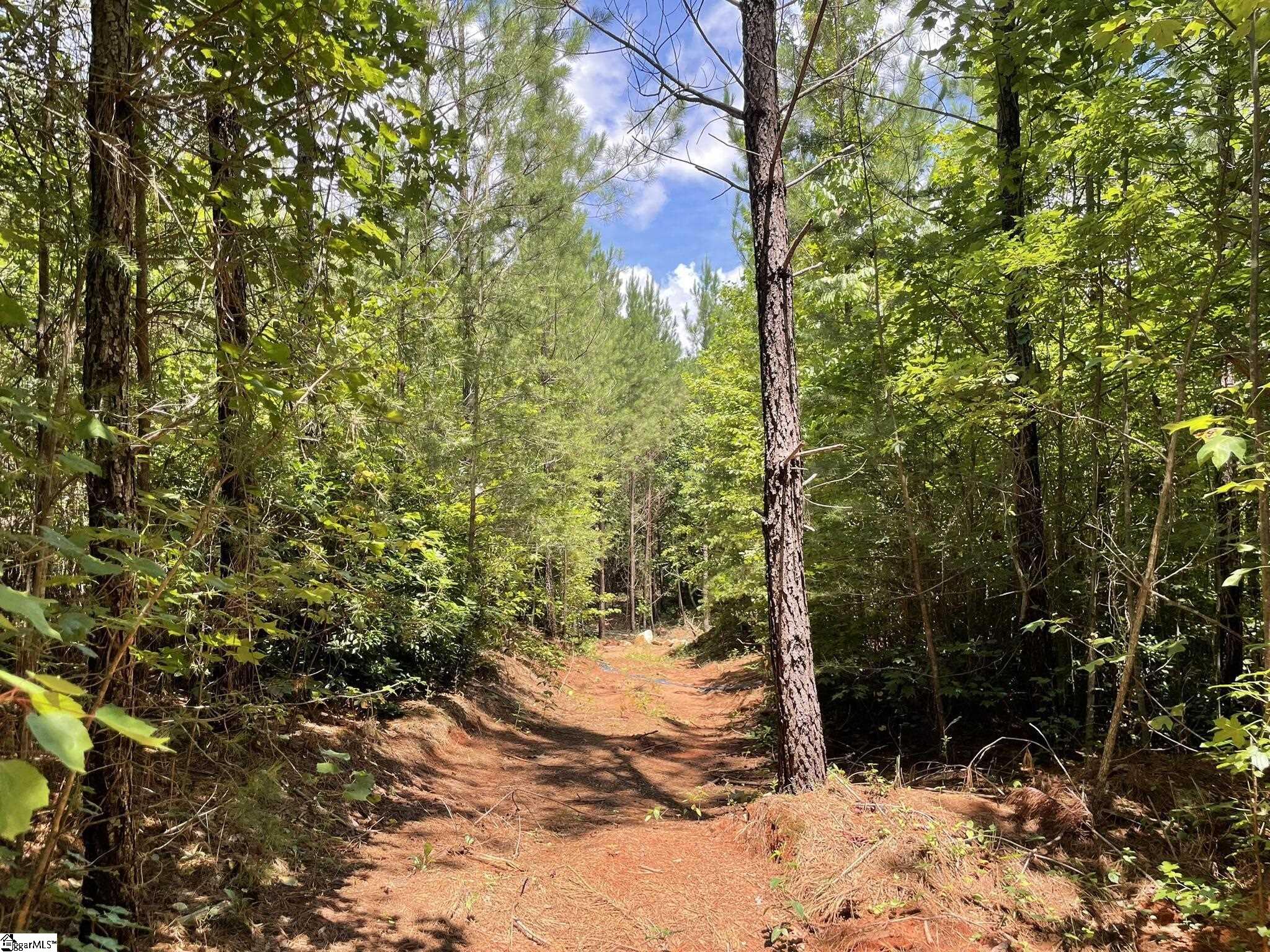 38 Old Plantation, Travelers Rest, South Carolina image 21