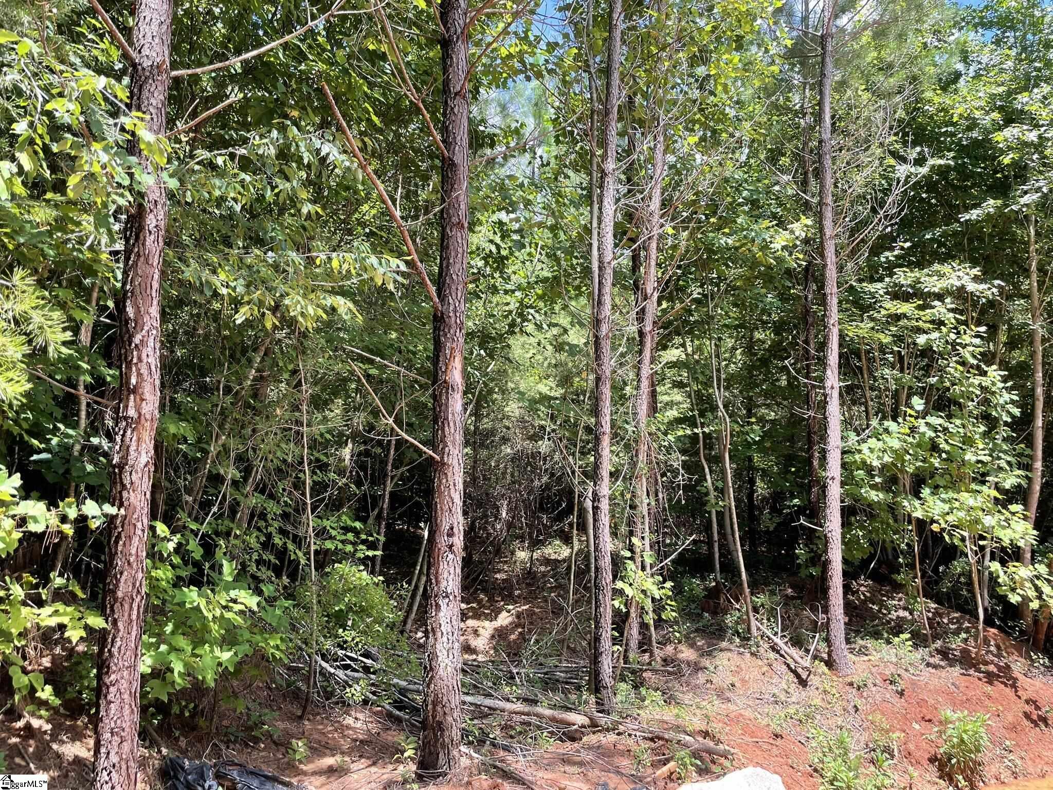 38 Old Plantation, Travelers Rest, South Carolina image 23