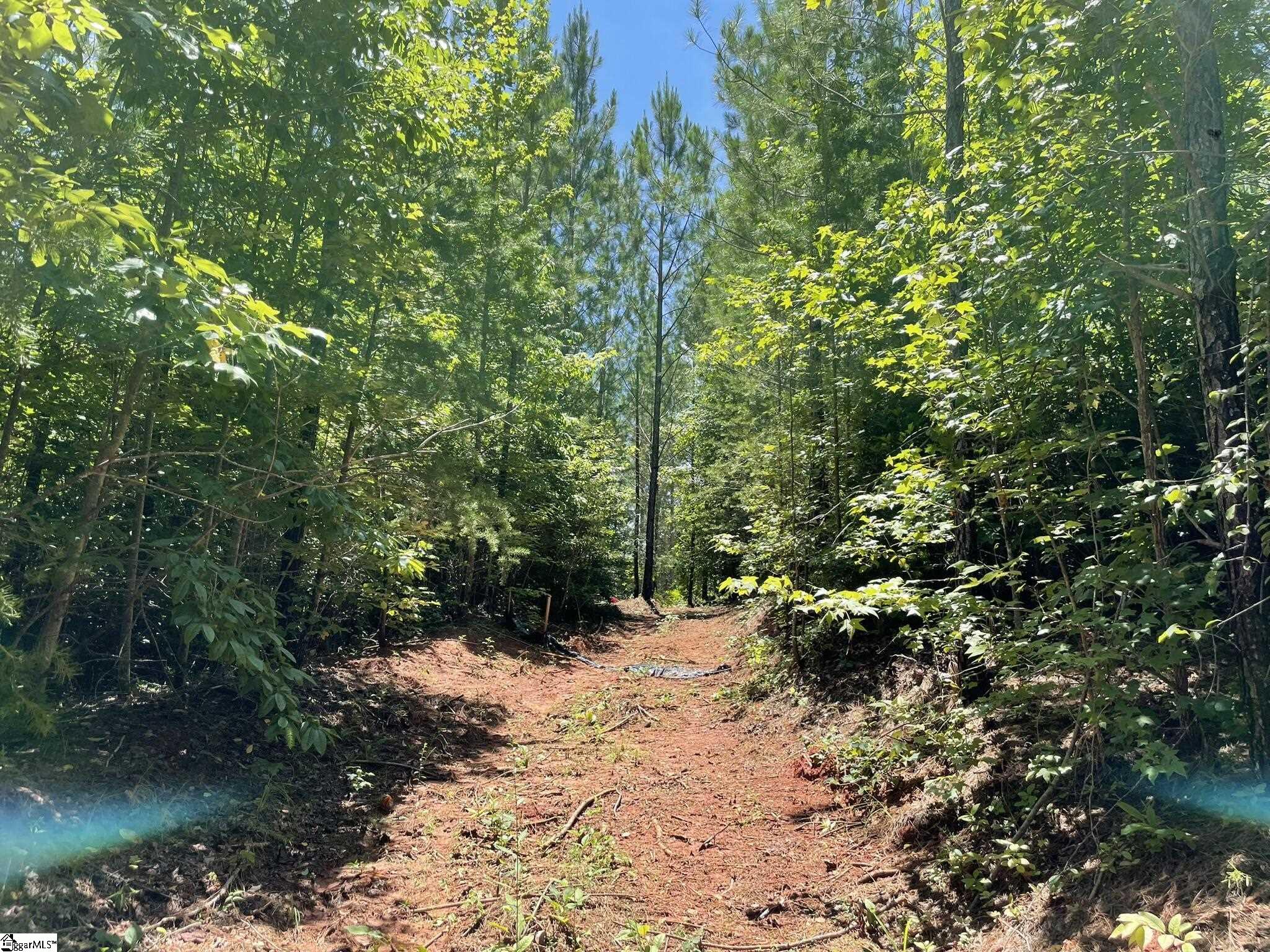 38 Old Plantation, Travelers Rest, South Carolina image 24