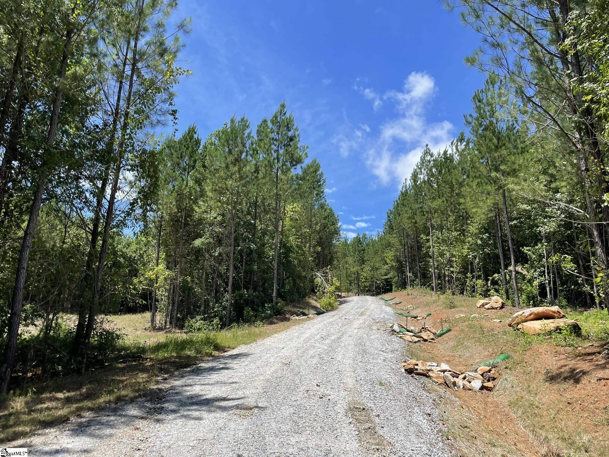 38 Old Plantation, Travelers Rest, South Carolina image 28