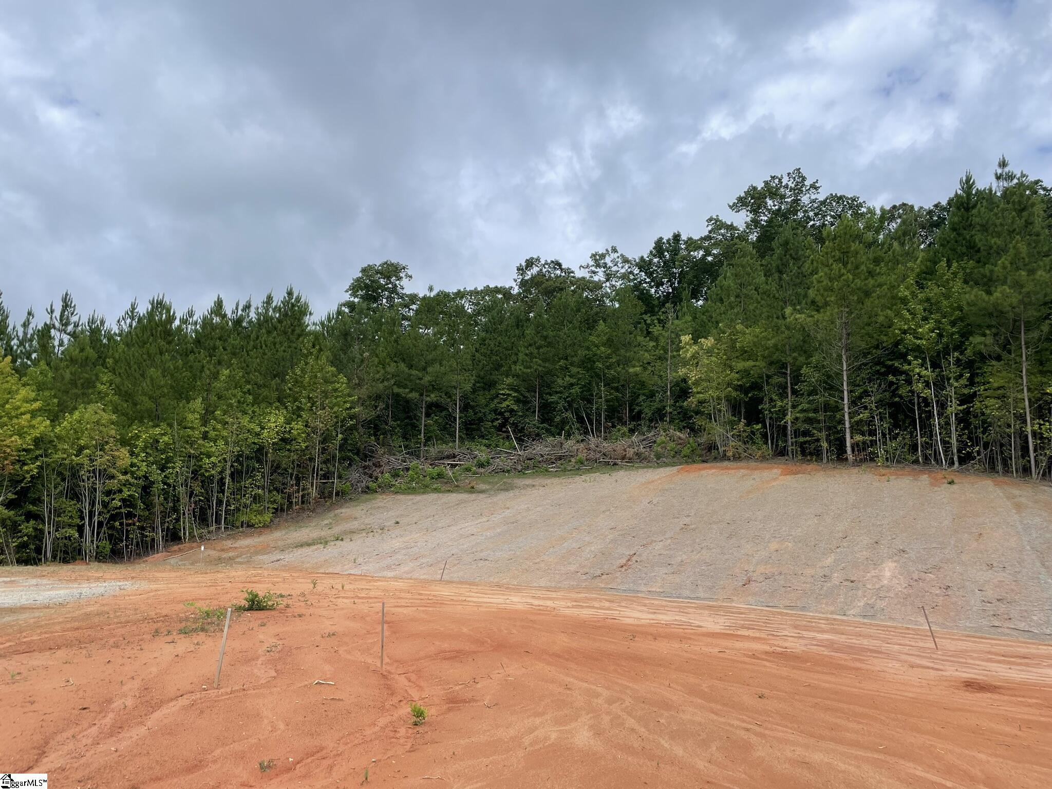 38 Old Plantation, Travelers Rest, South Carolina image 4
