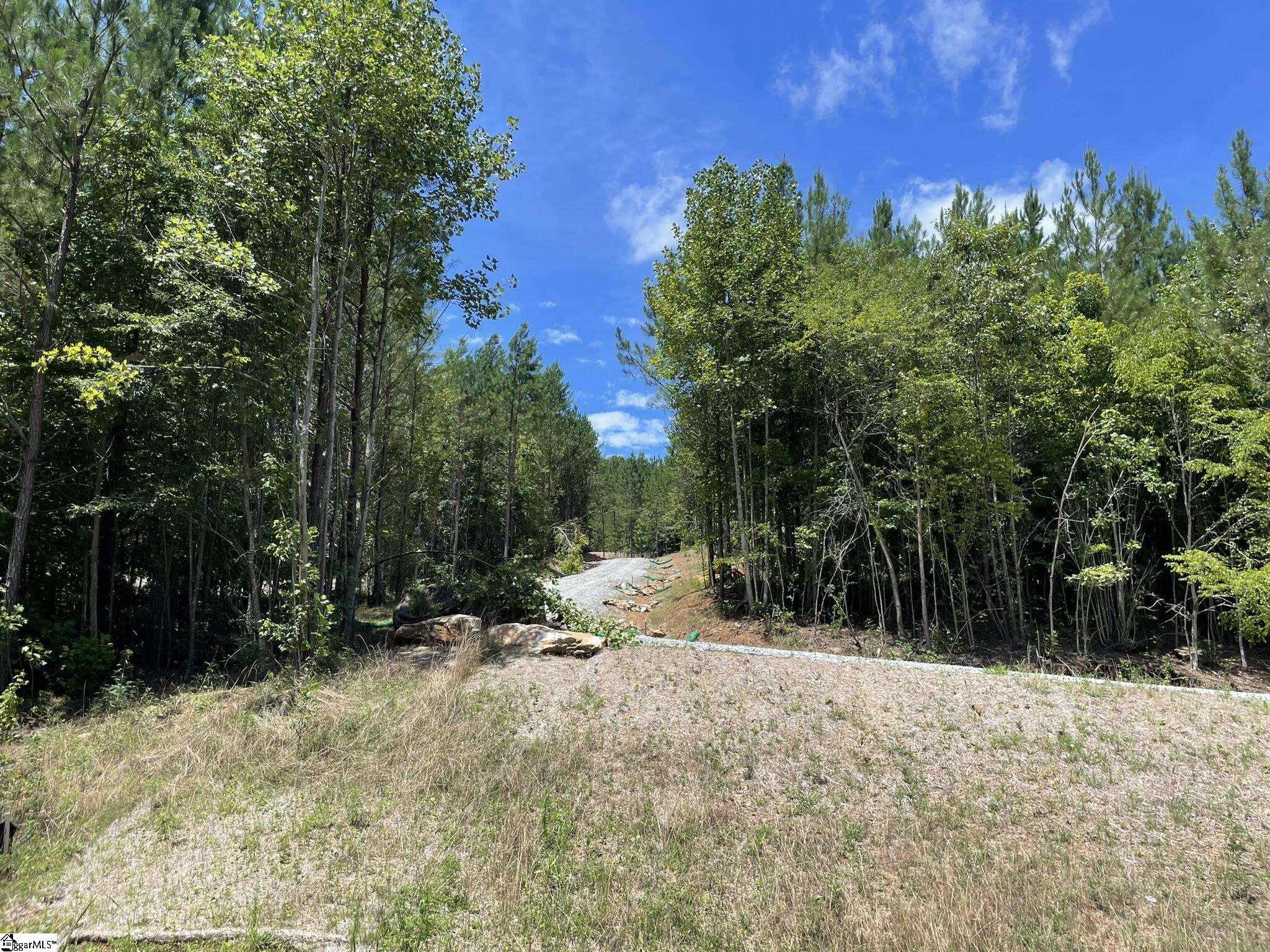 38 Old Plantation, Travelers Rest, South Carolina image 33