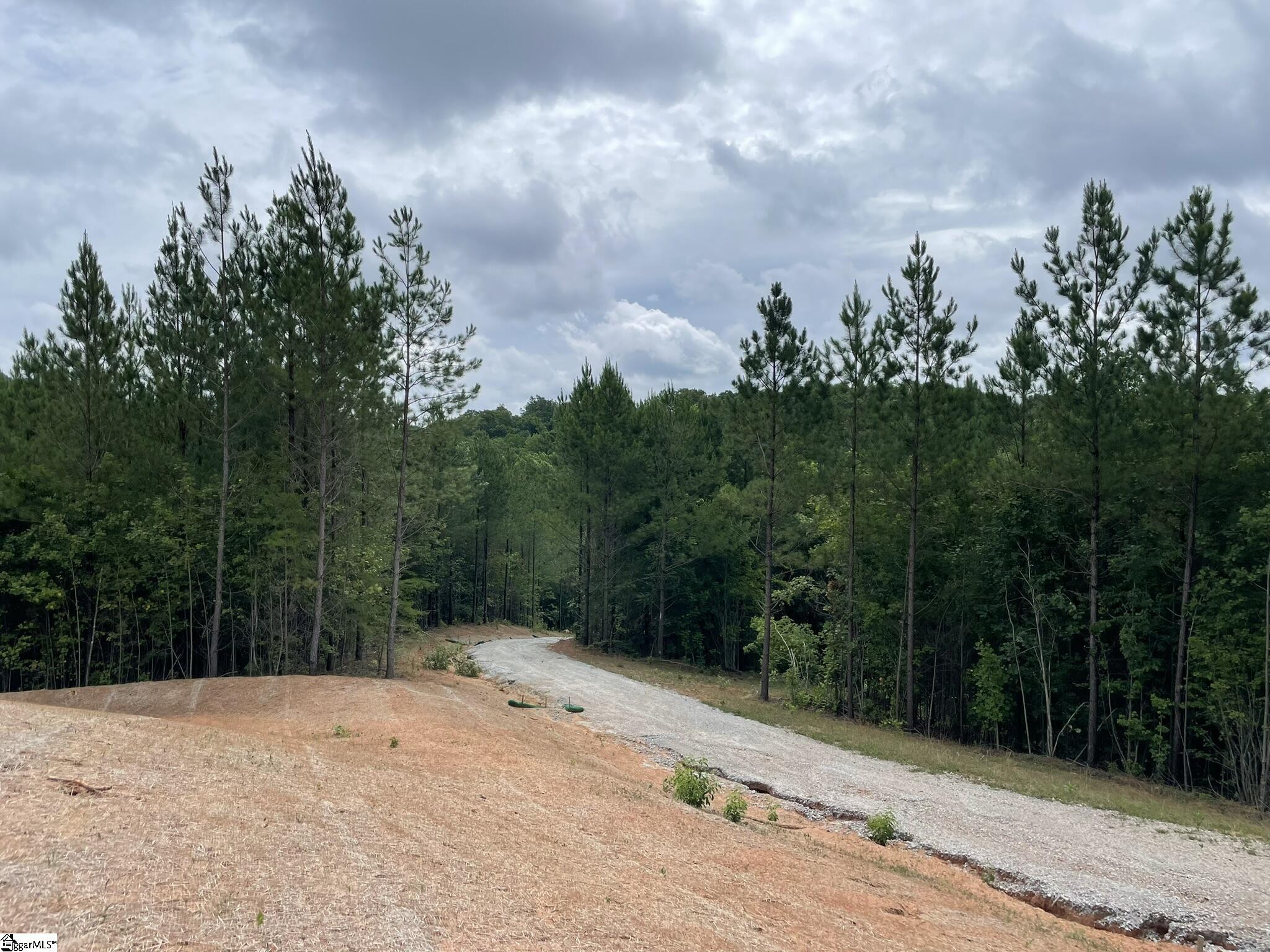 38 Old Plantation, Travelers Rest, South Carolina image 5