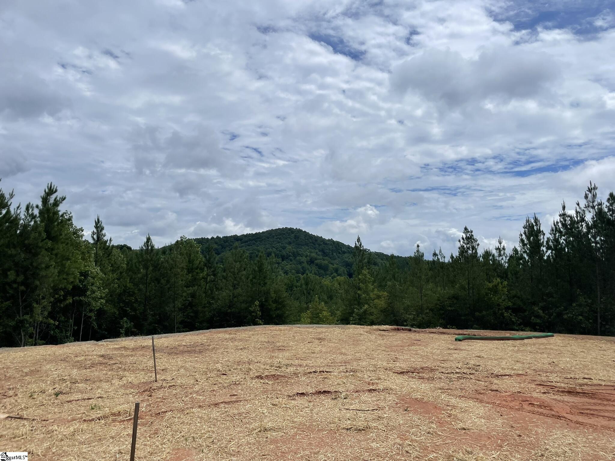 38 Old Plantation, Travelers Rest, South Carolina image 6