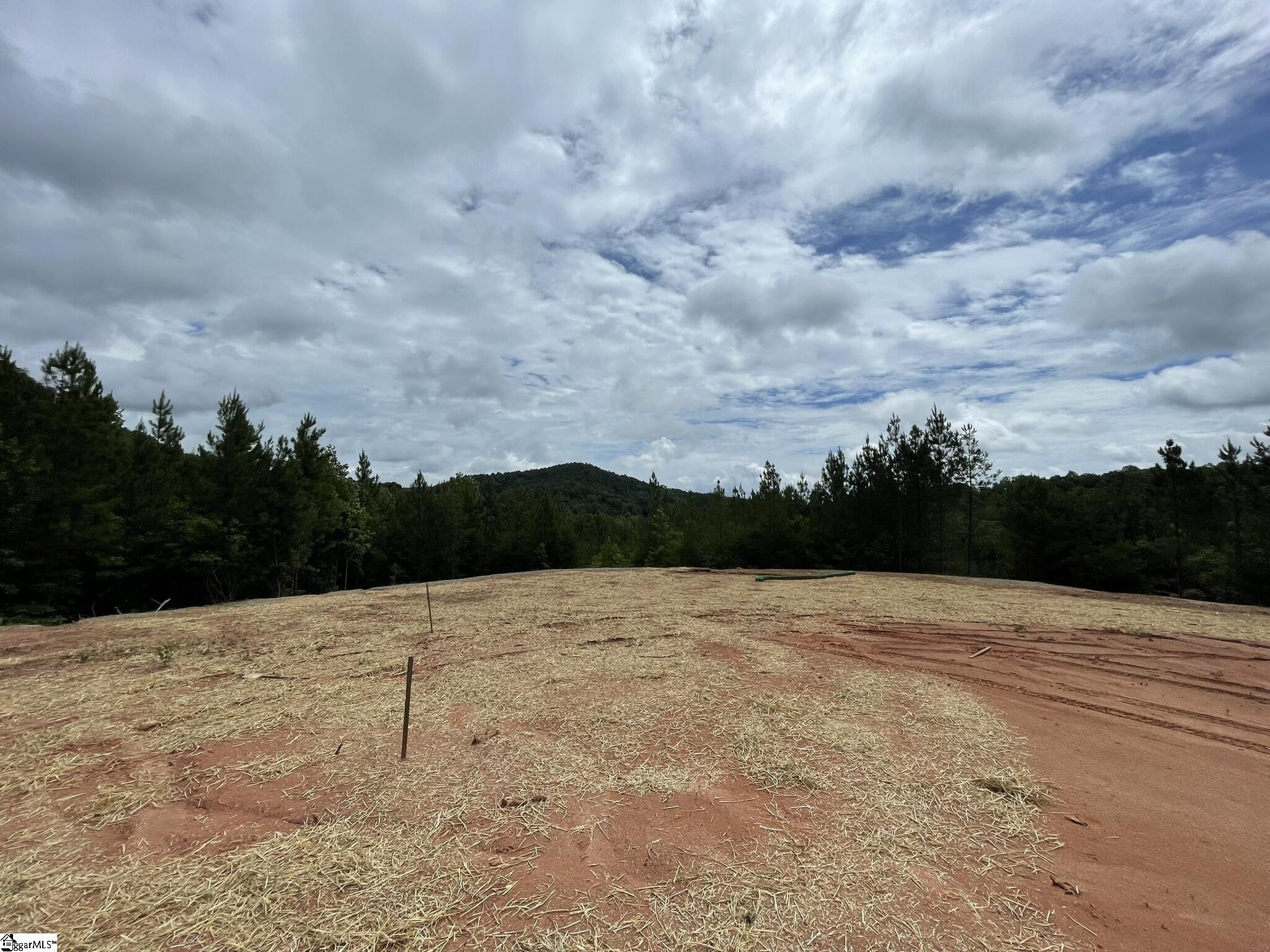 38 Old Plantation, Travelers Rest, South Carolina image 7