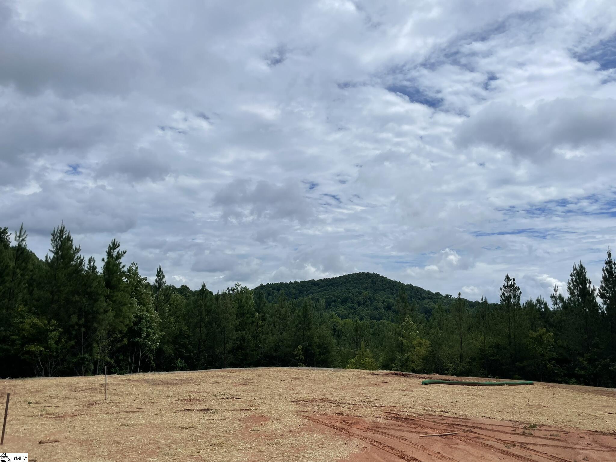 38 Old Plantation, Travelers Rest, South Carolina image 10