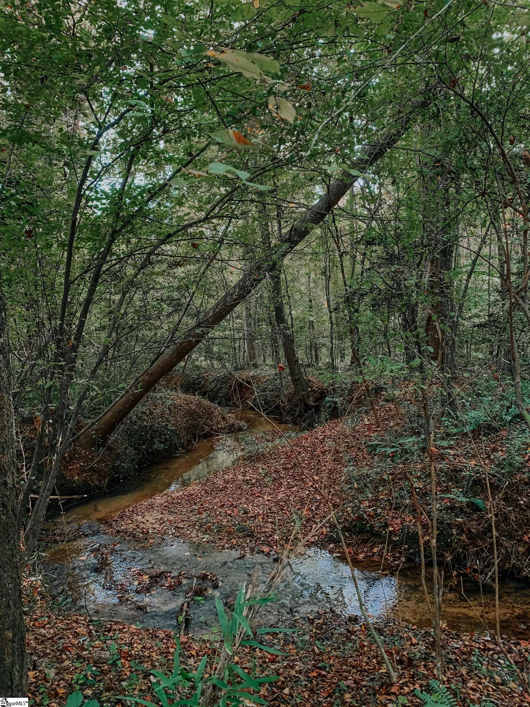 3080 Sc-414, Taylors, South Carolina image 44