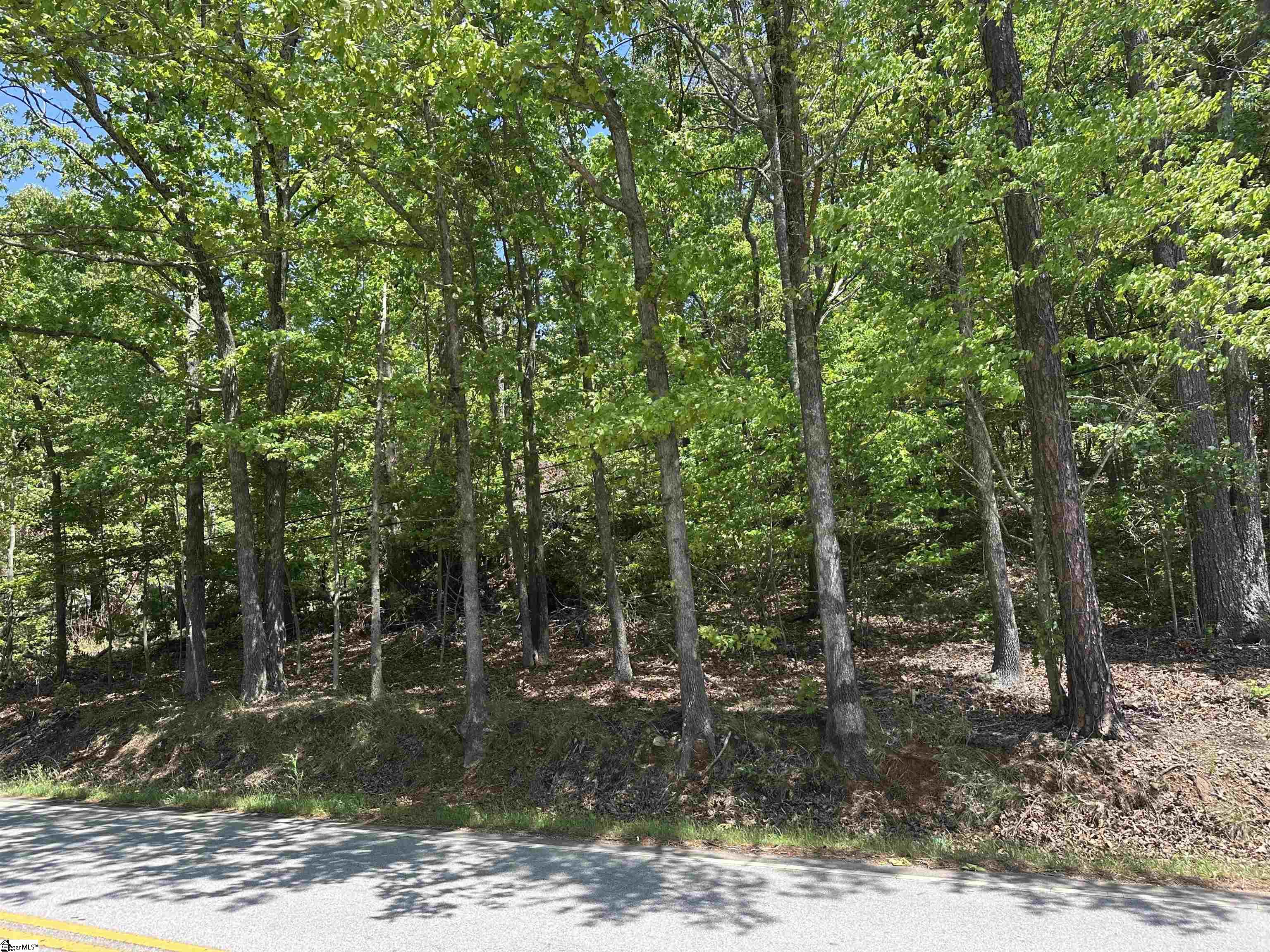 1741 Old Pacolet, Spartanburg, South Carolina image 6