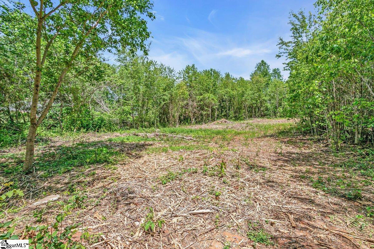 0000 State Park, Greenville, South Carolina image 8