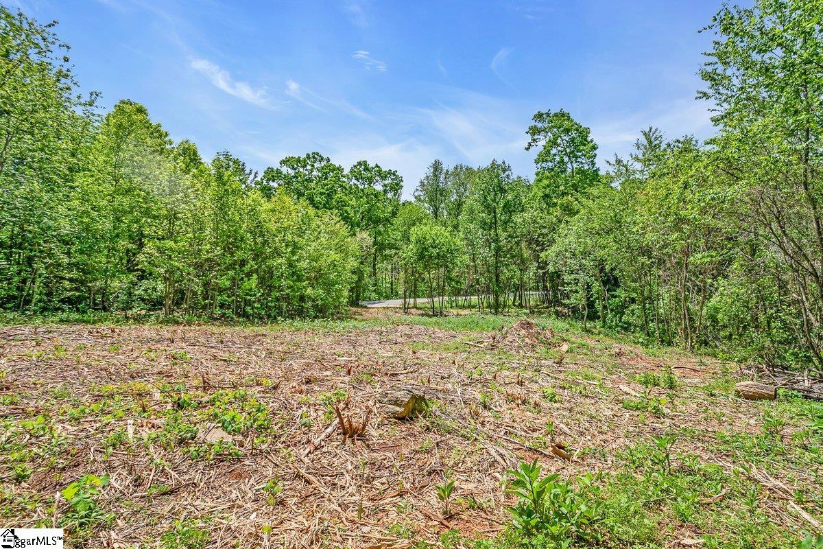 0000 State Park, Greenville, South Carolina image 9