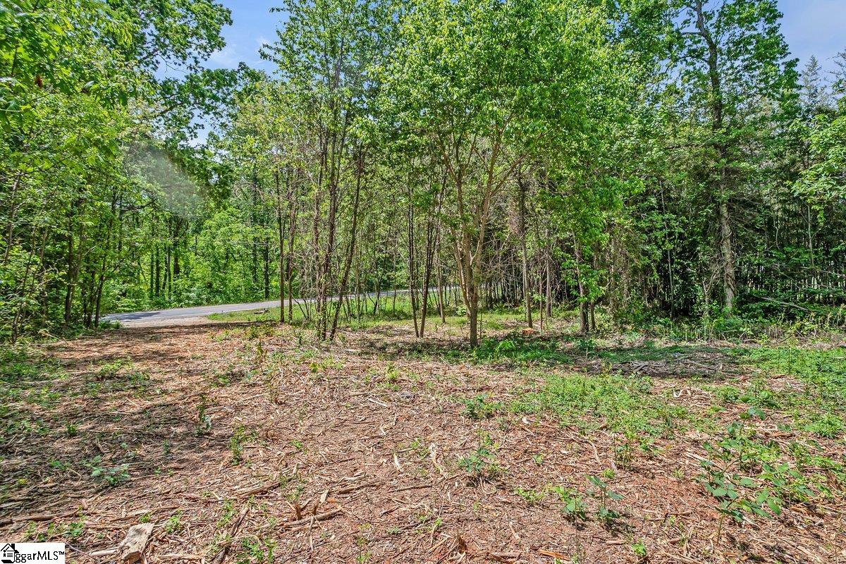 0000 State Park, Greenville, South Carolina image 10