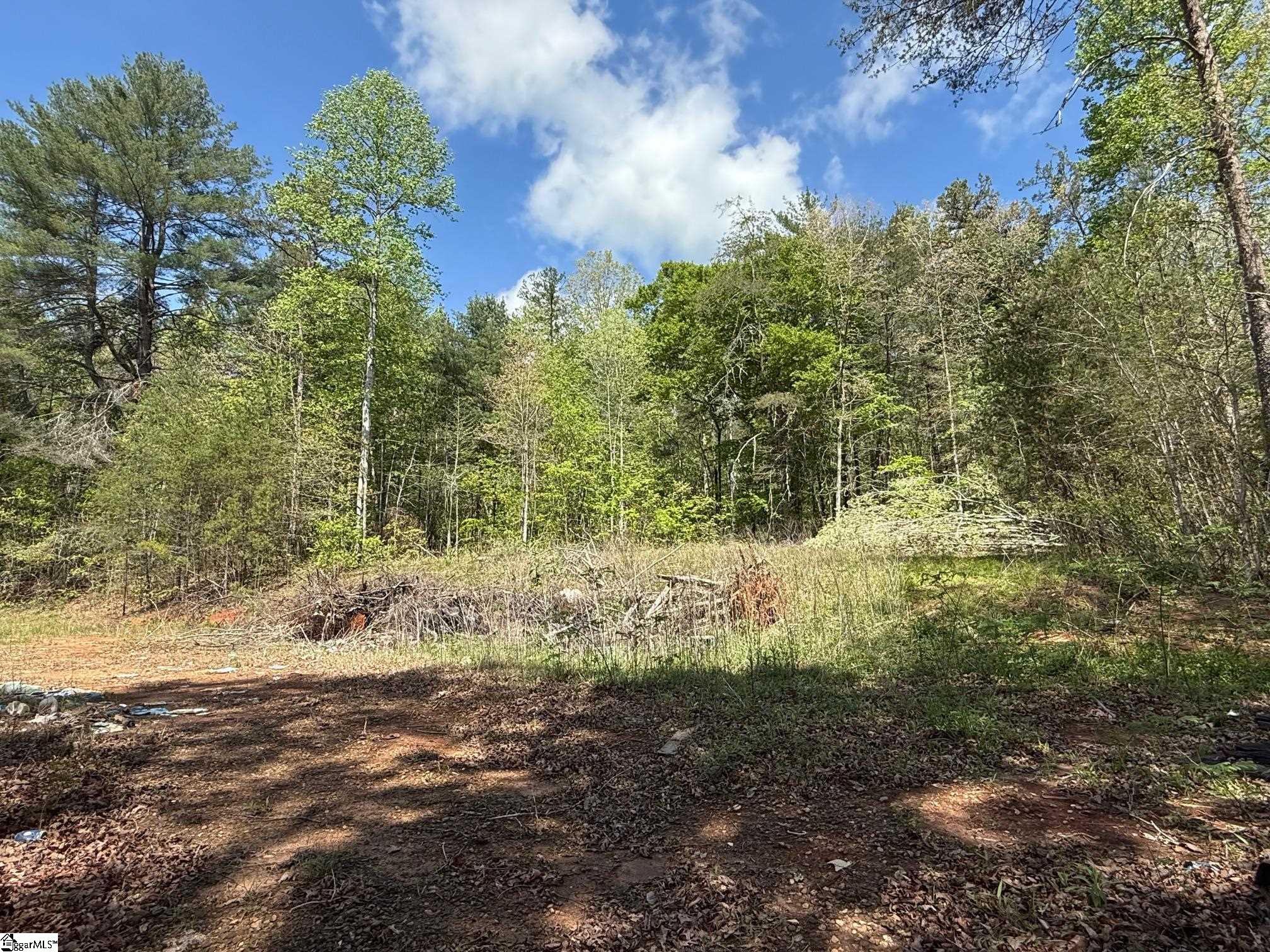 2502 Table Rock, Pickens, South Carolina image 3