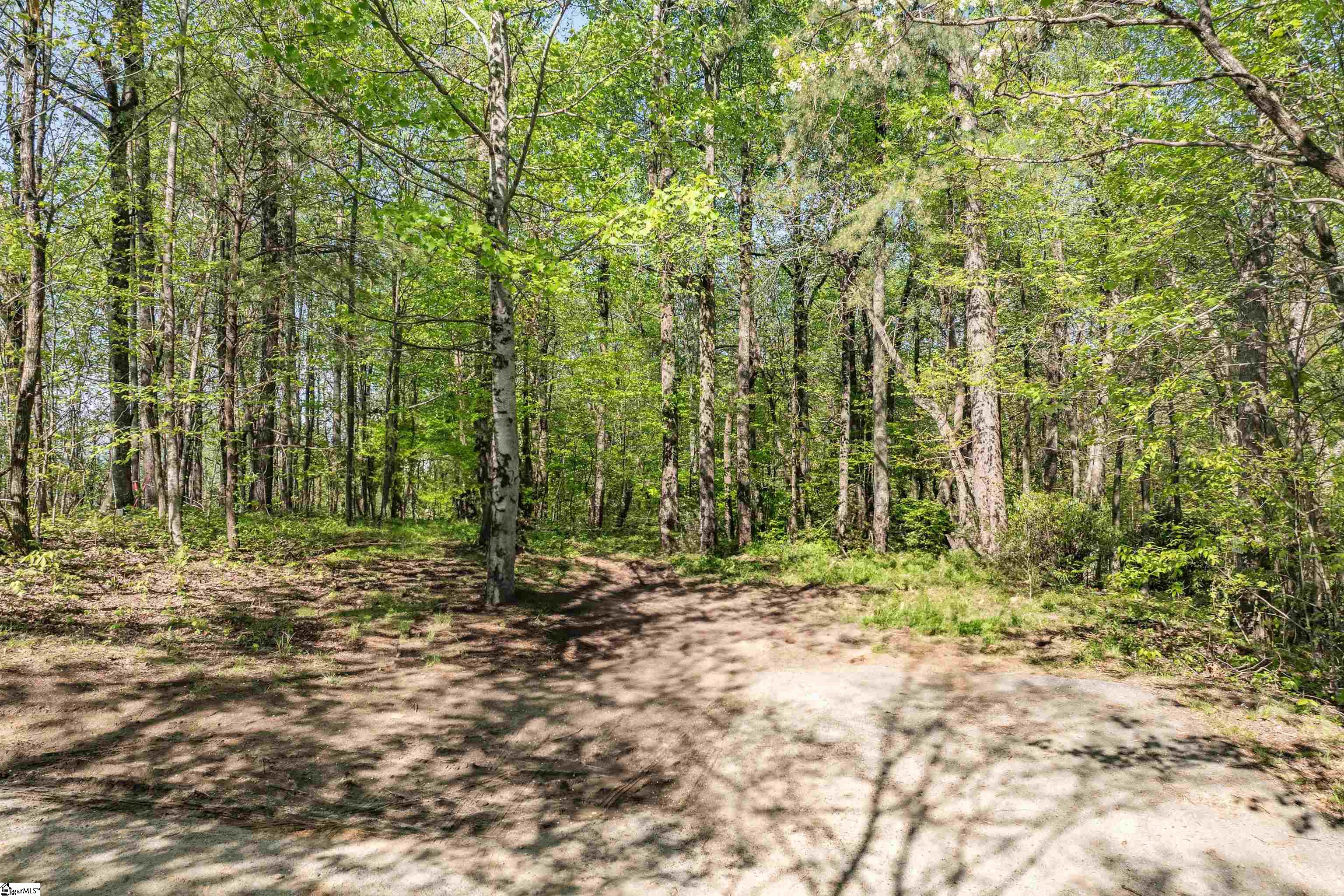 00 Mountain Summit, Zirconia, North Carolina image 6