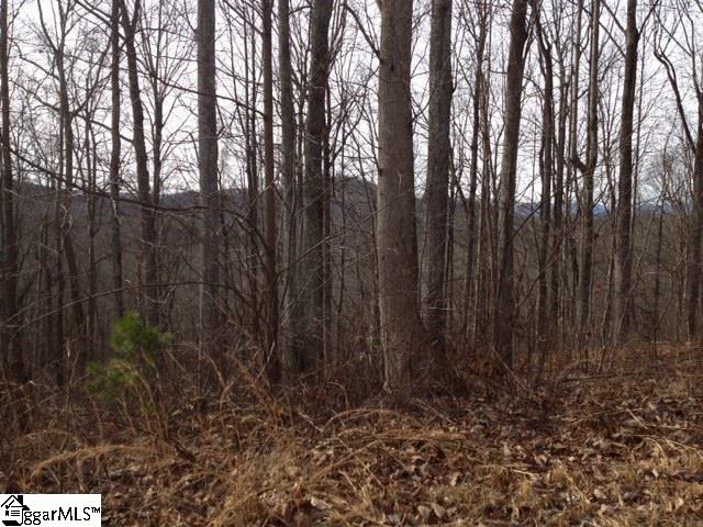 313 Laurel Valley, Travelers Rest, South Carolina image 16