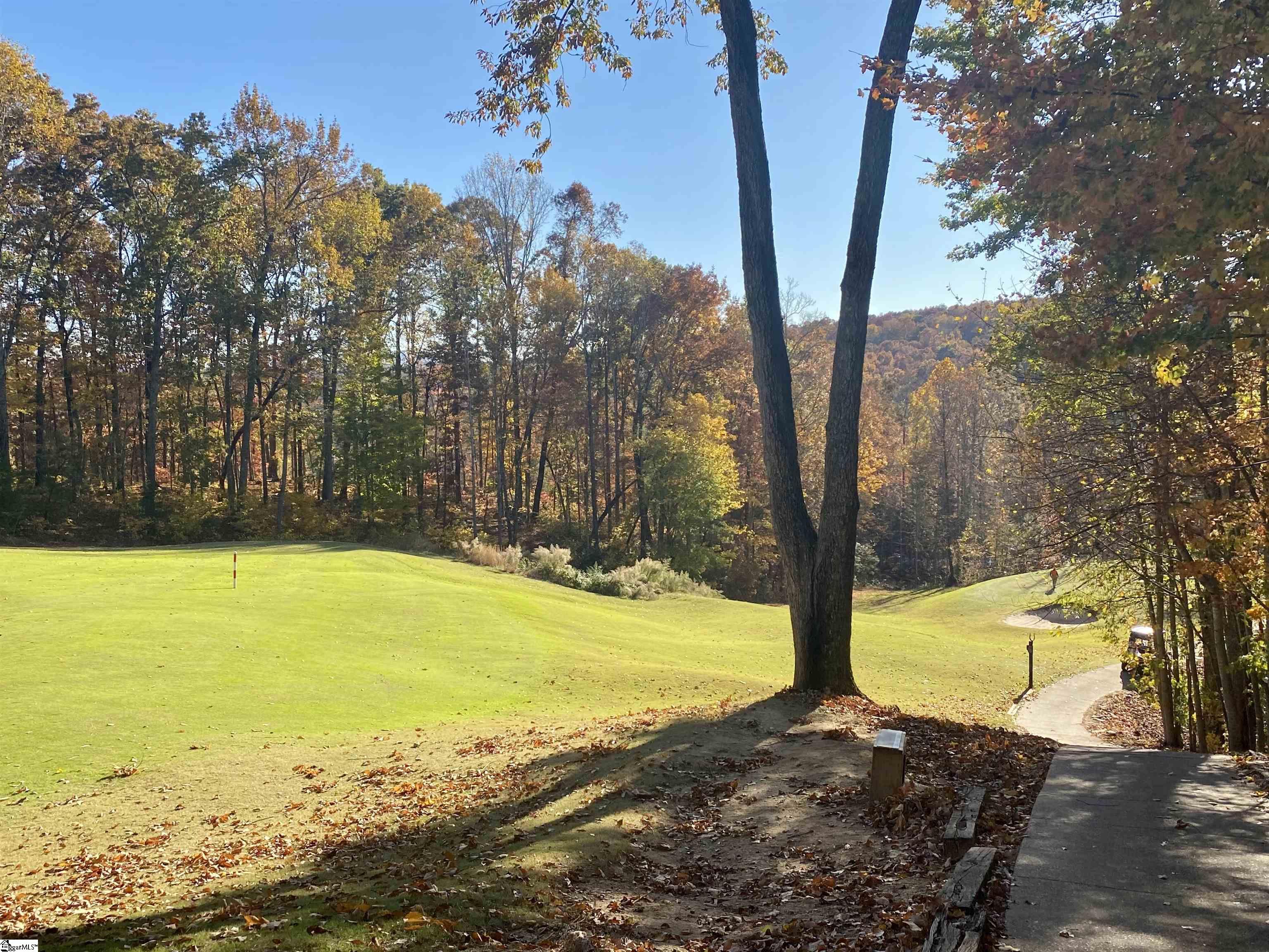 313 Laurel Valley, Travelers Rest, South Carolina image 25