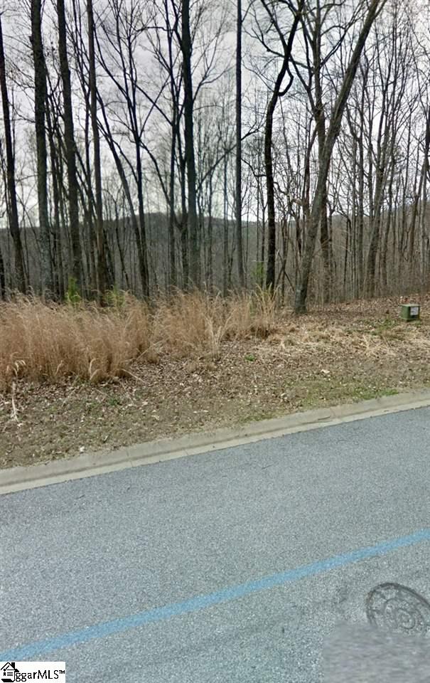 313 Laurel Valley, Travelers Rest, South Carolina image 27