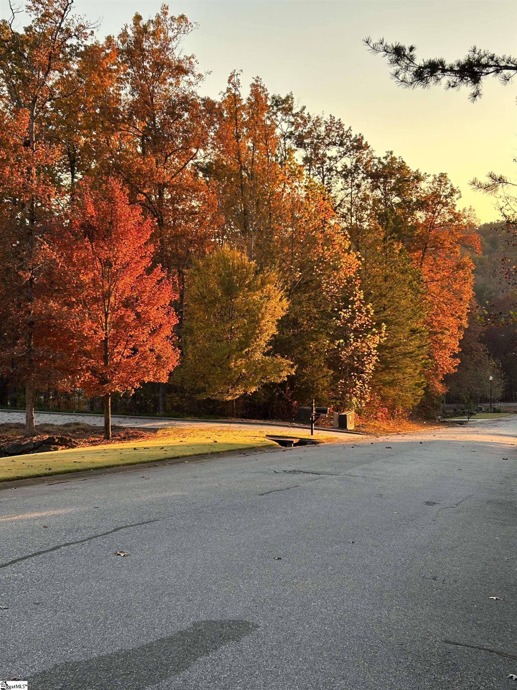313 Laurel Valley, Travelers Rest, South Carolina image 28