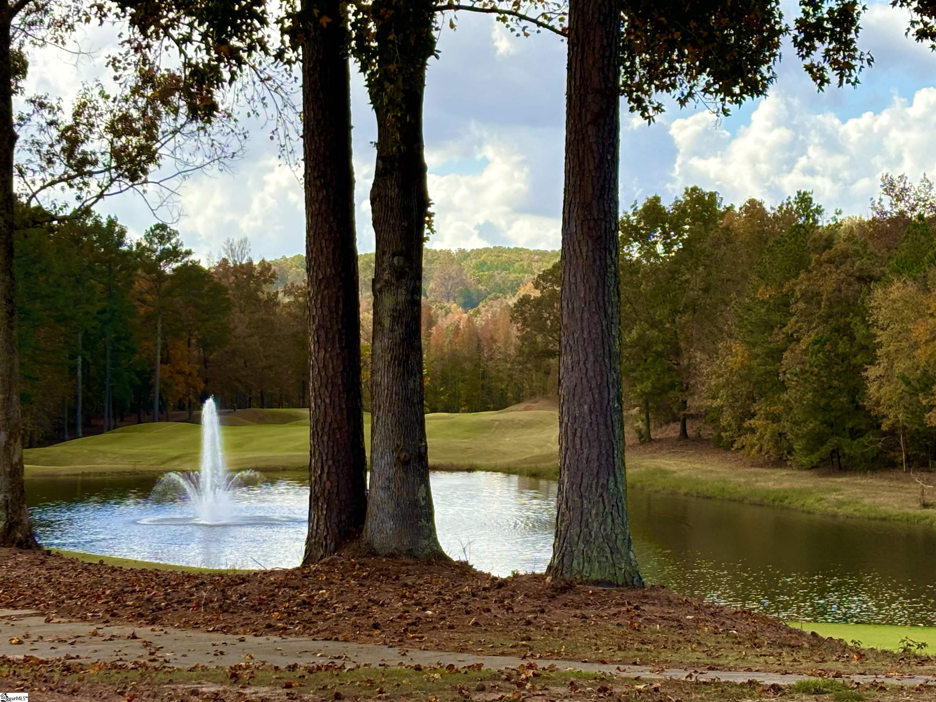 313 Laurel Valley, Travelers Rest, South Carolina image 39