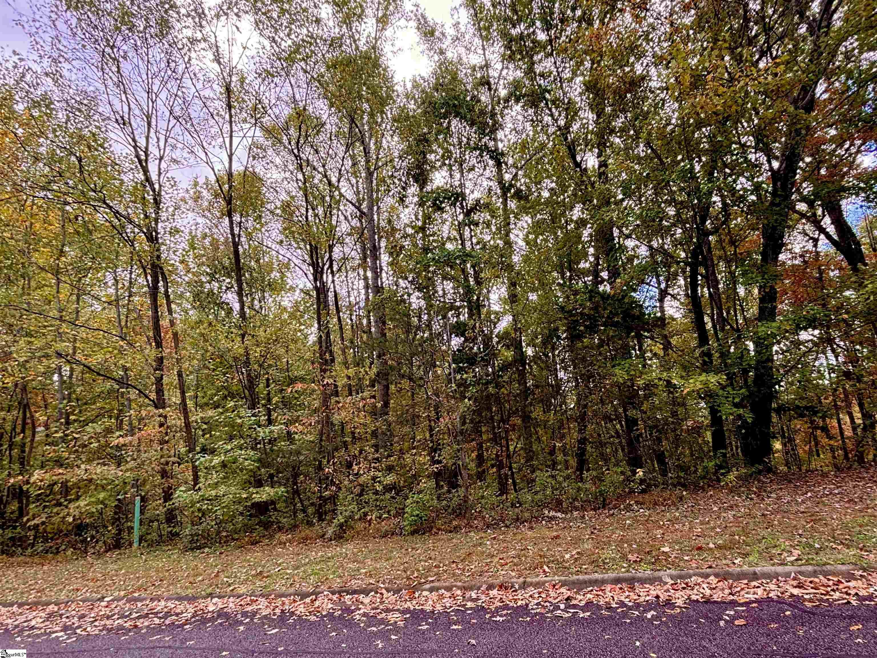 313 Laurel Valley, Travelers Rest, South Carolina image 42