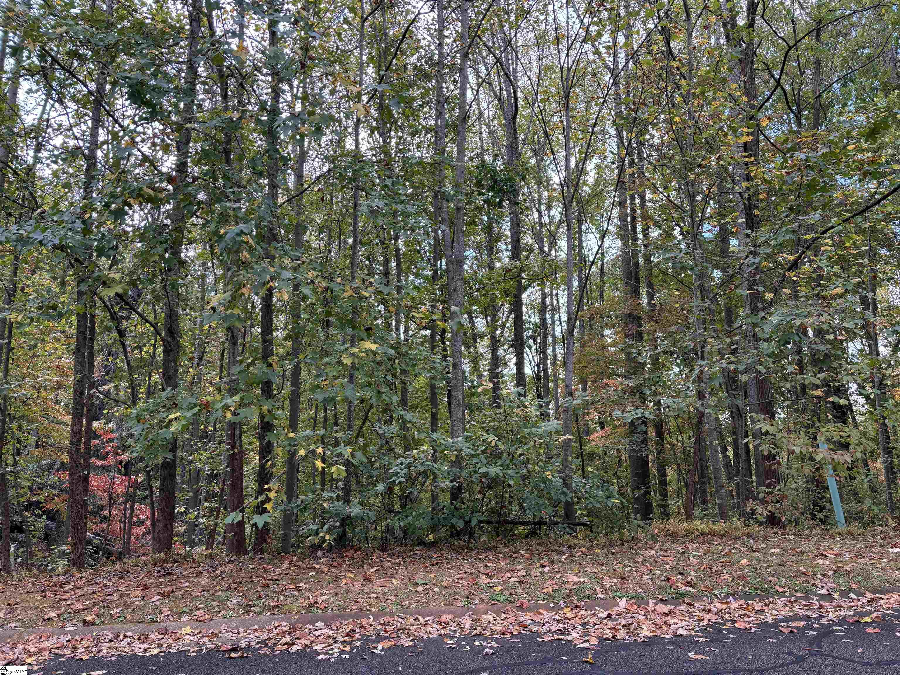 313 Laurel Valley, Travelers Rest, South Carolina image 43