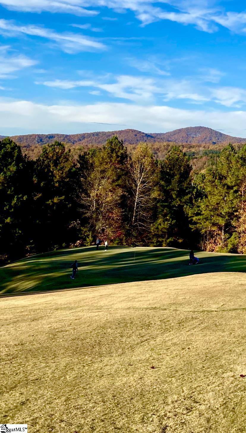 313 Laurel Valley, Travelers Rest, South Carolina image 44