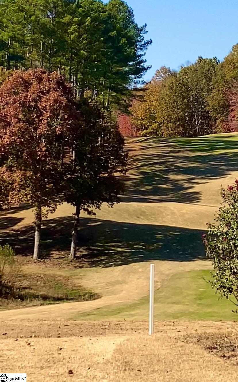 313 Laurel Valley, Travelers Rest, South Carolina image 46