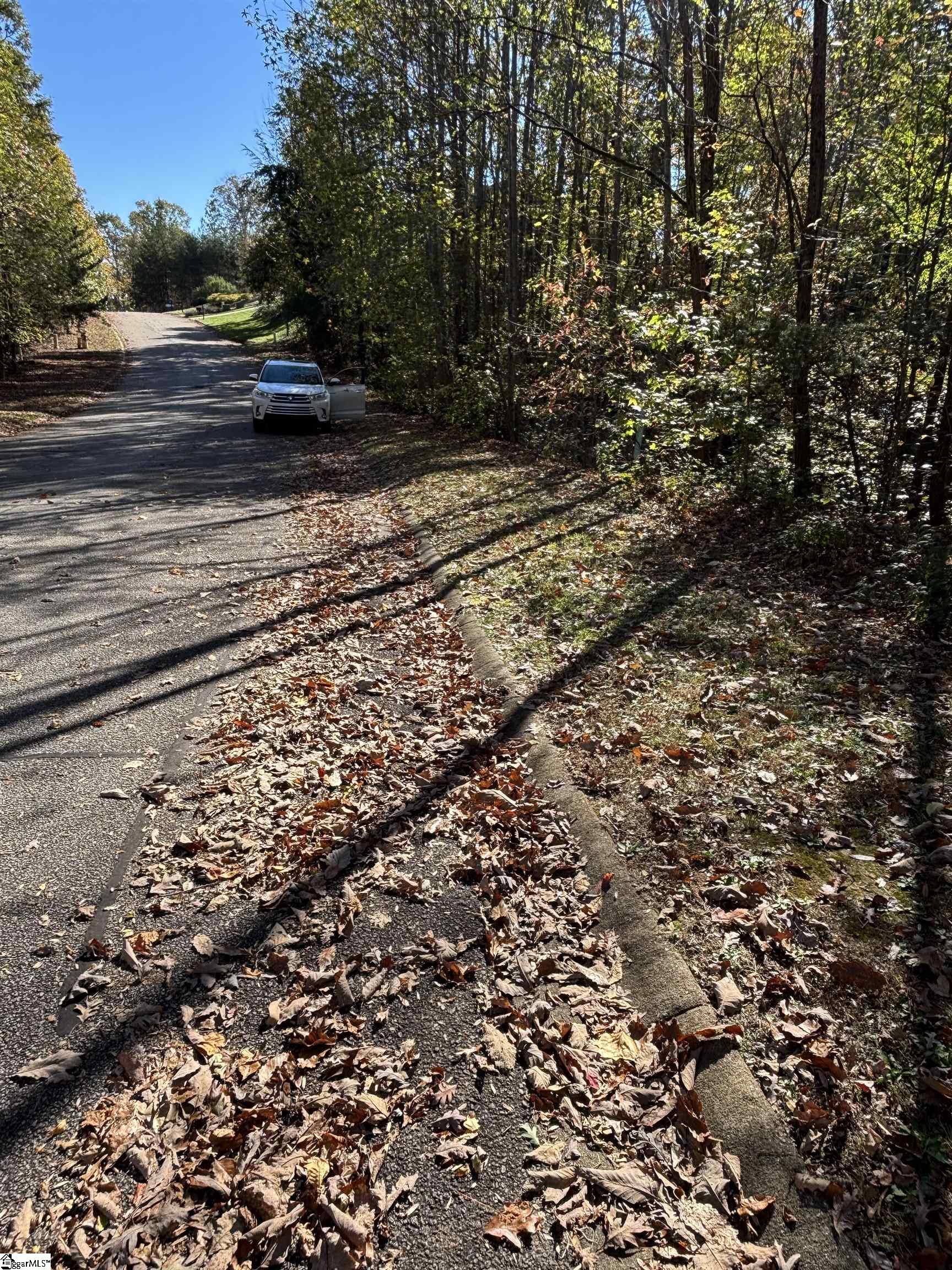 313 Laurel Valley, Travelers Rest, South Carolina image 49
