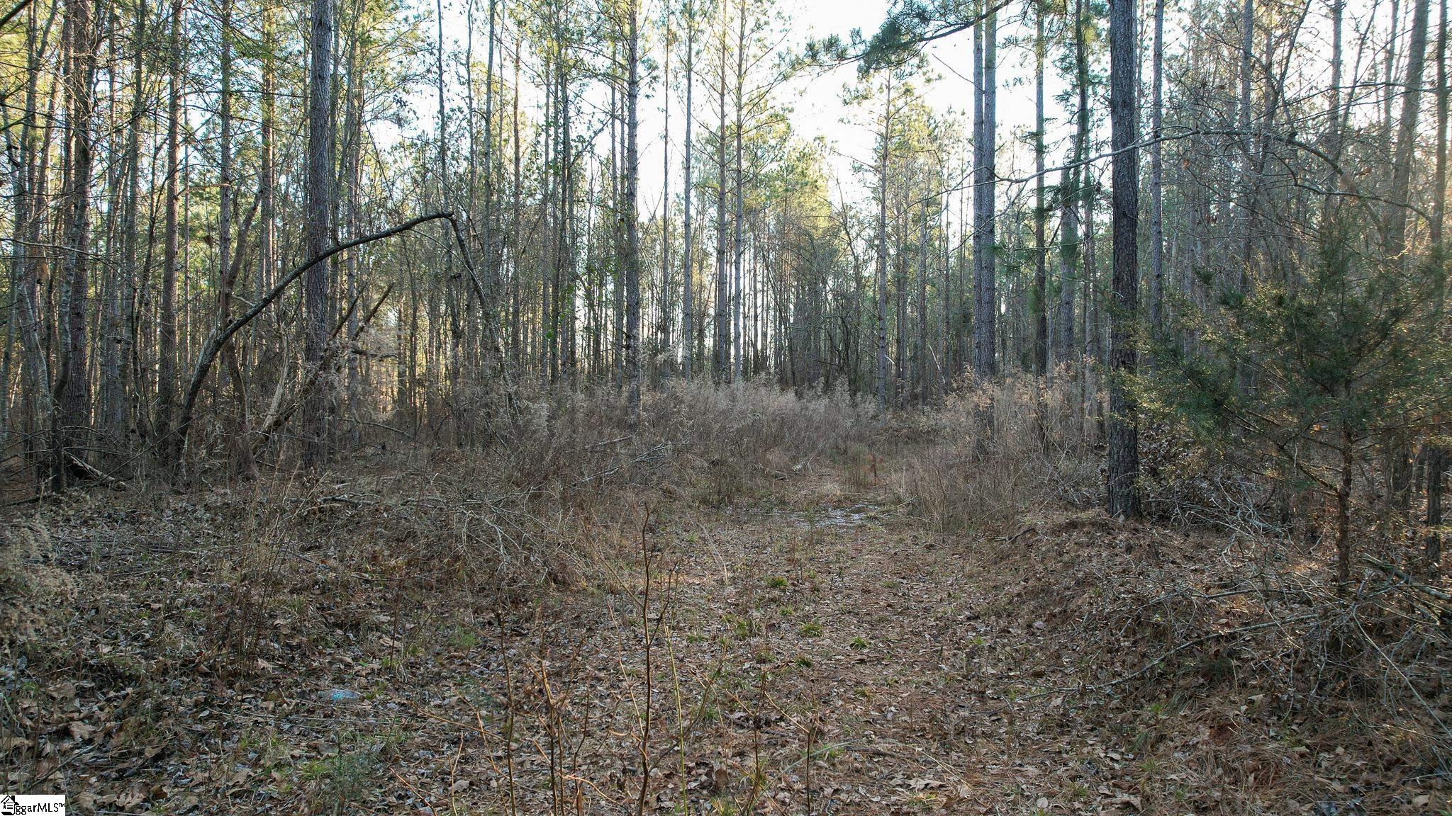 00 Jefferson Davis, Mountville, South Carolina image 19