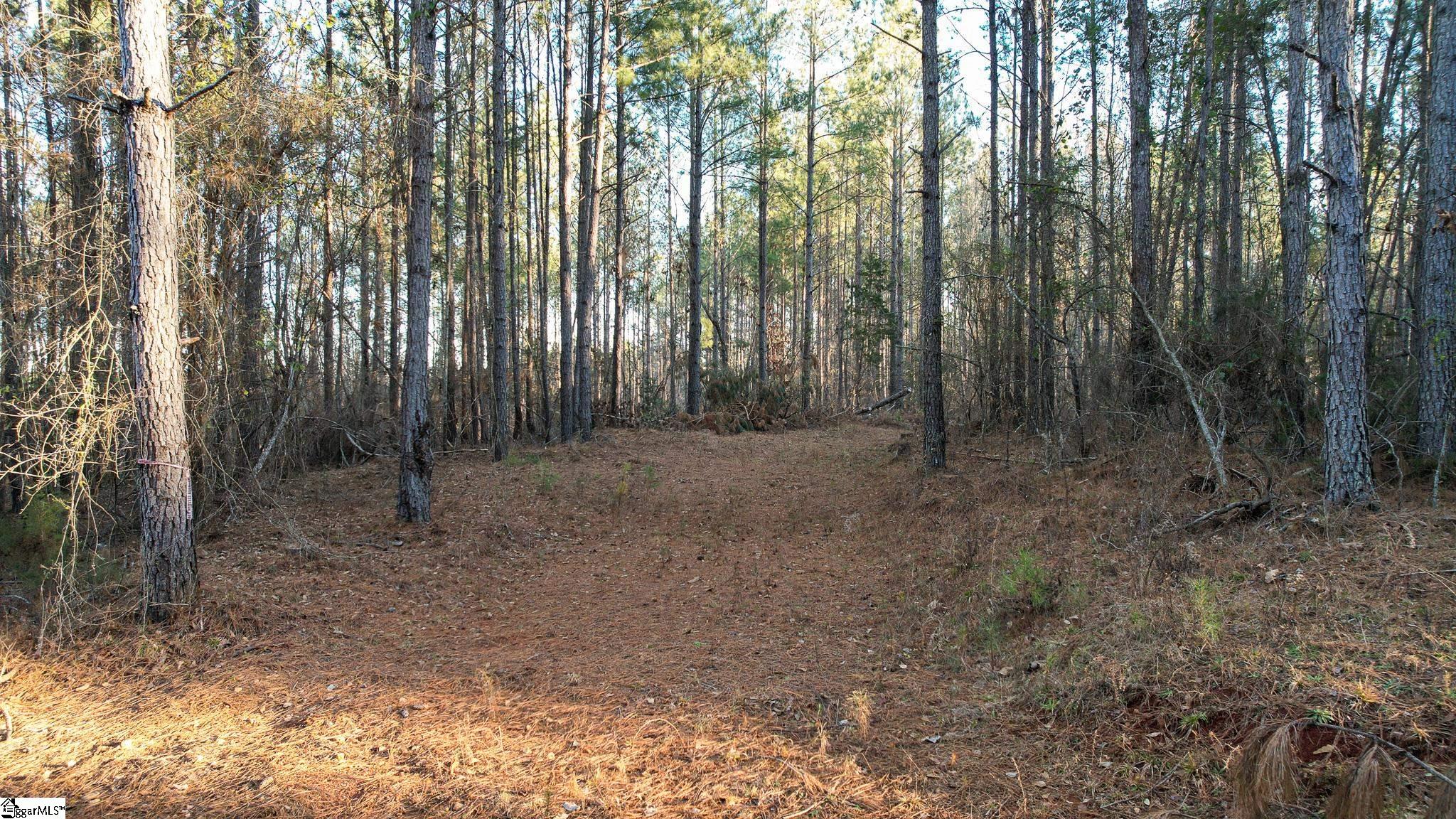 00 Jefferson Davis, Mountville, South Carolina image 7