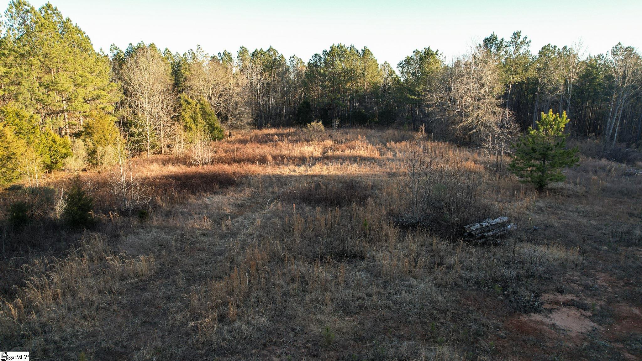 00 Jefferson Davis, Mountville, South Carolina image 9