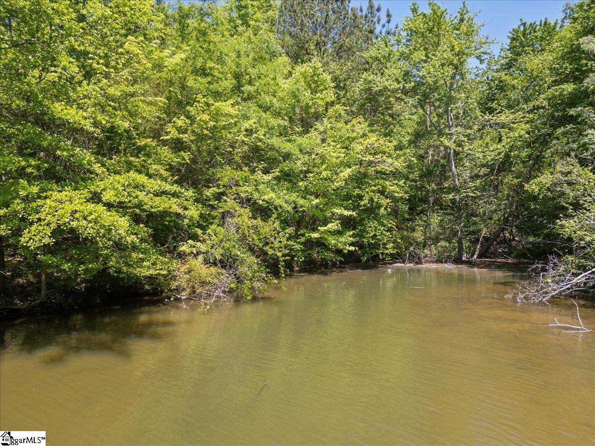 00 Lake Forest, Waterloo, South Carolina image 2