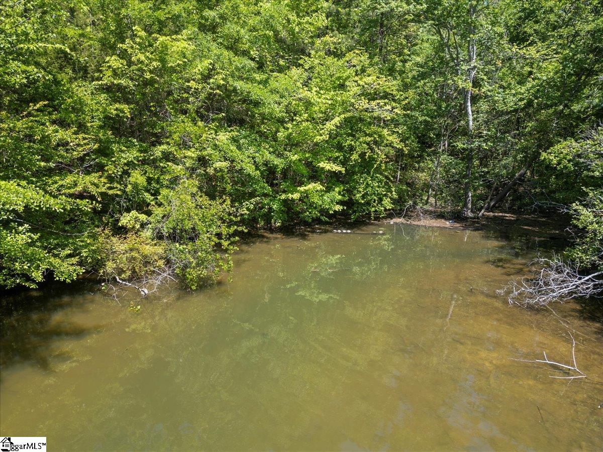 00 Lake Forest, Waterloo, South Carolina image 3