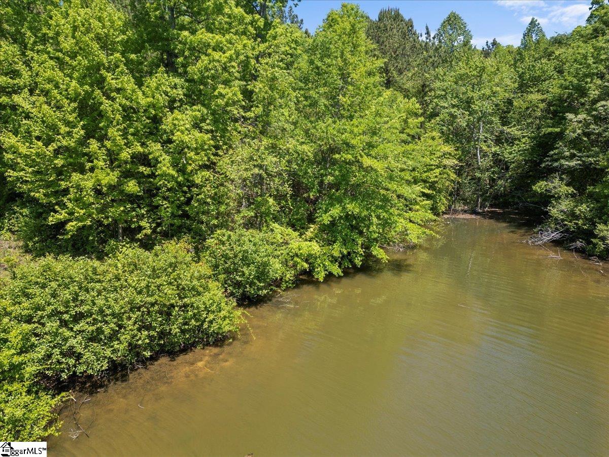 00 Lake Forest, Waterloo, South Carolina image 4