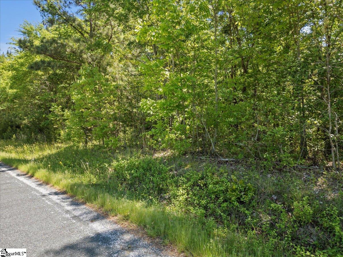 00 Lake Forest, Waterloo, South Carolina image 5