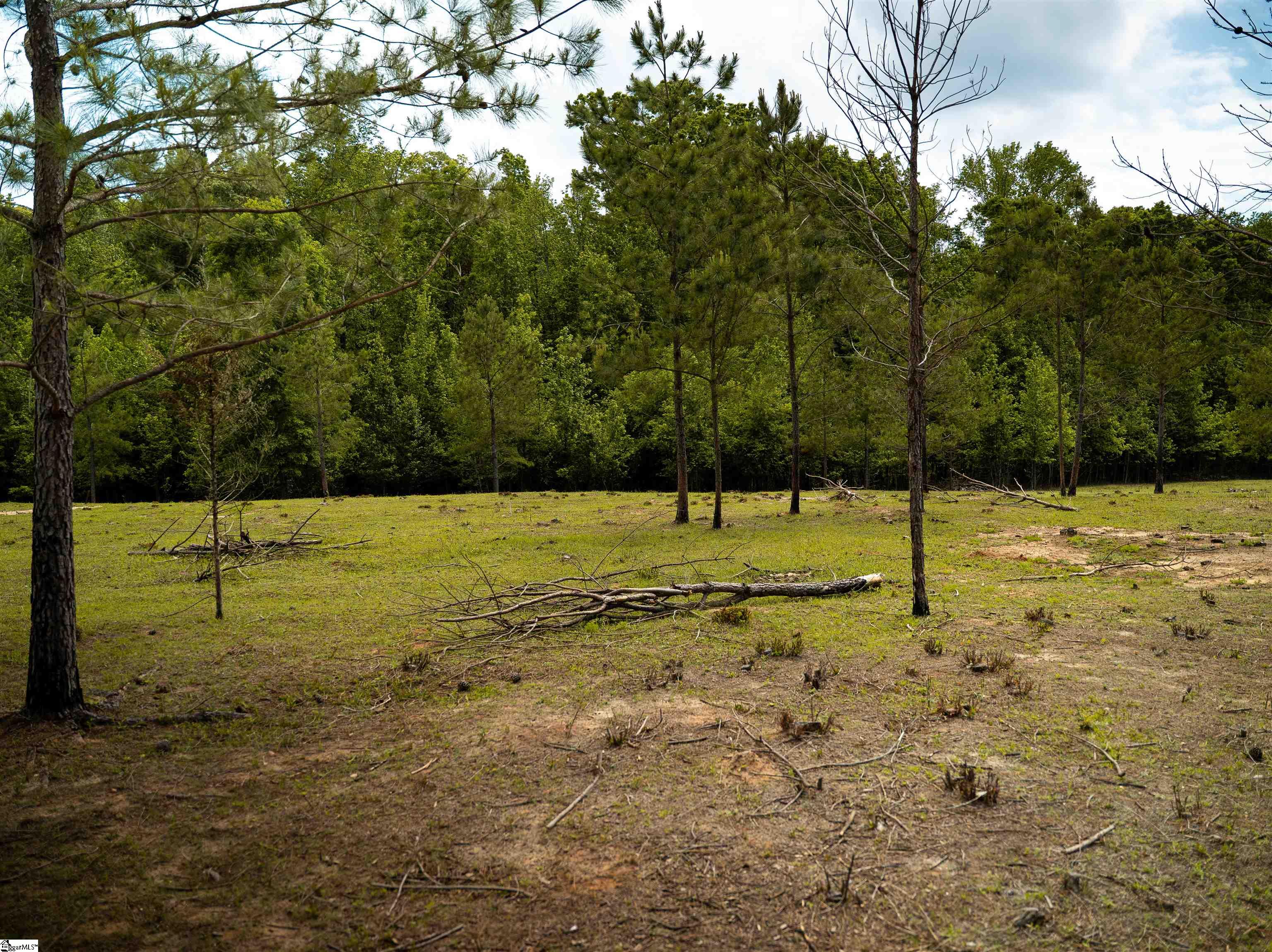 651 655 Cherokee, Pelzer, South Carolina image 2