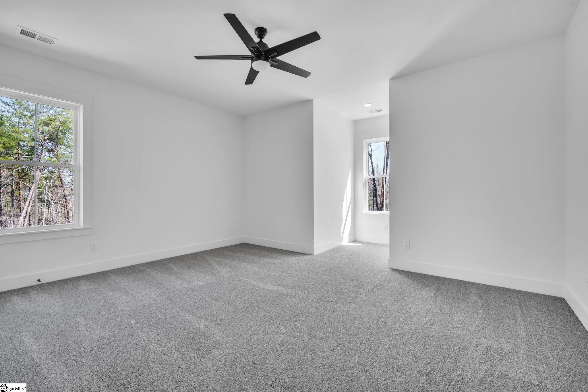 235 S Glassy Mountain, Landrum, South Carolina image 22