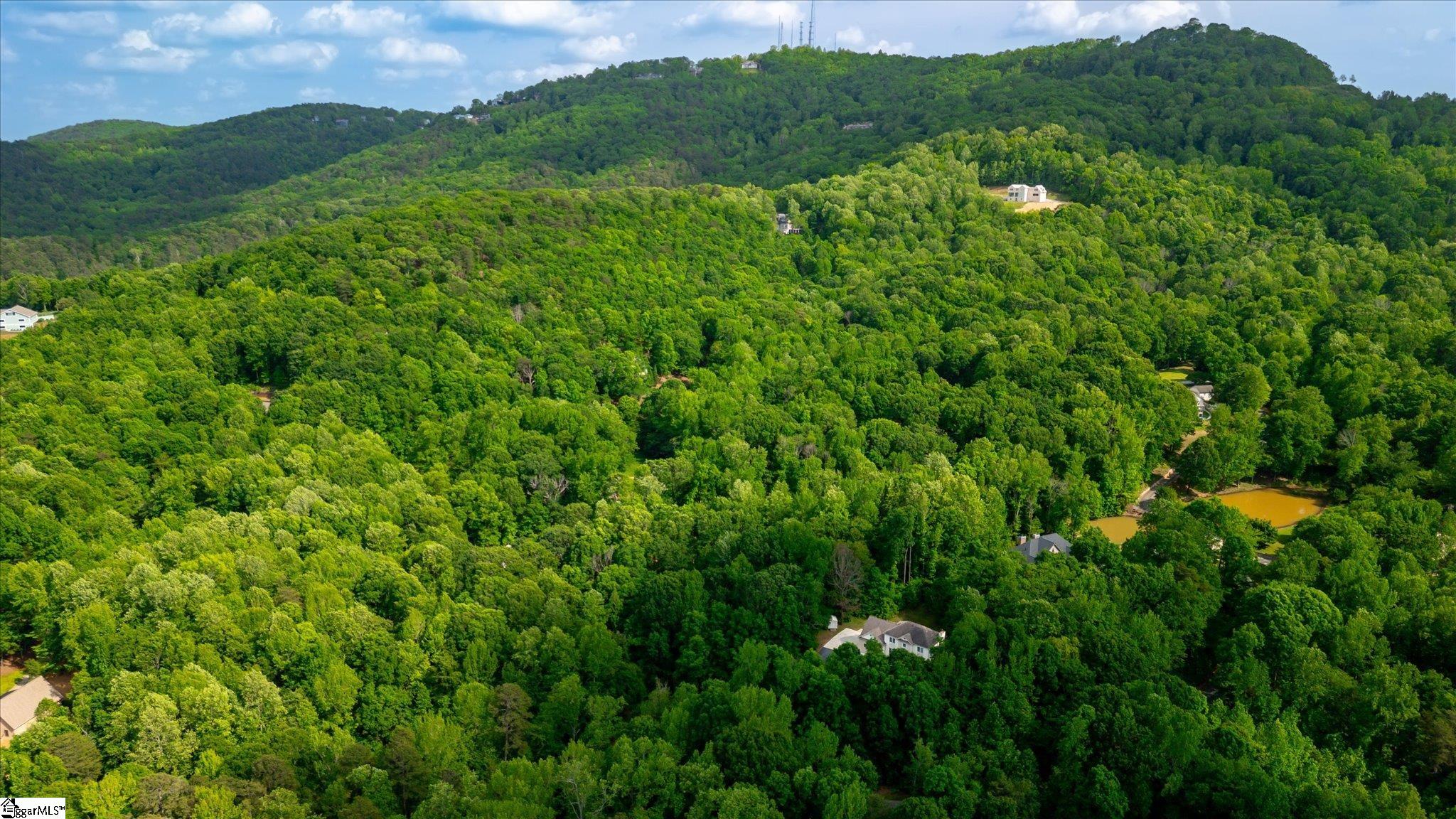 49 Pleasant Valley, Travelers Rest, South Carolina image 41