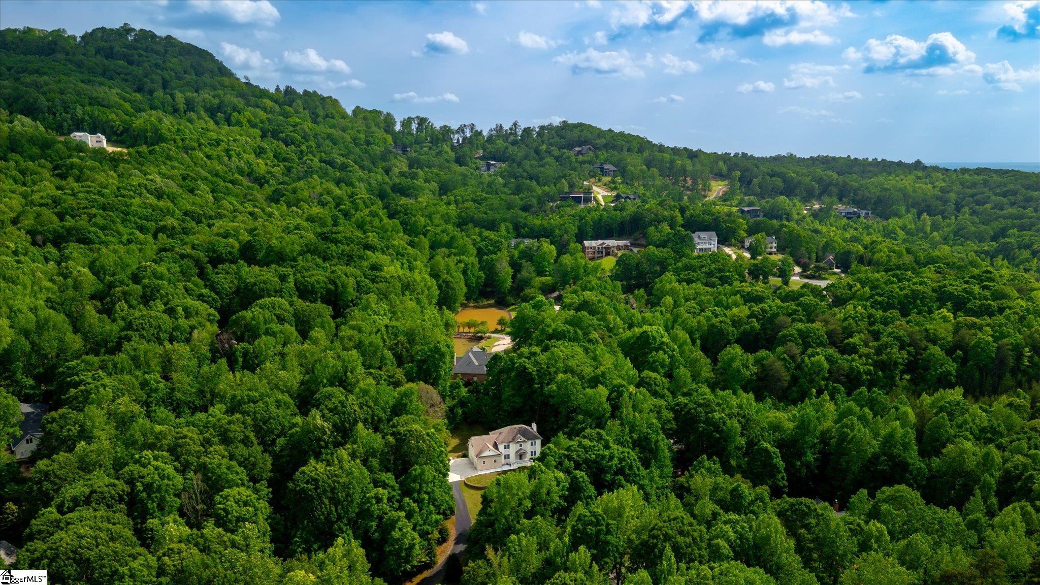 49 Pleasant Valley, Travelers Rest, South Carolina image 42