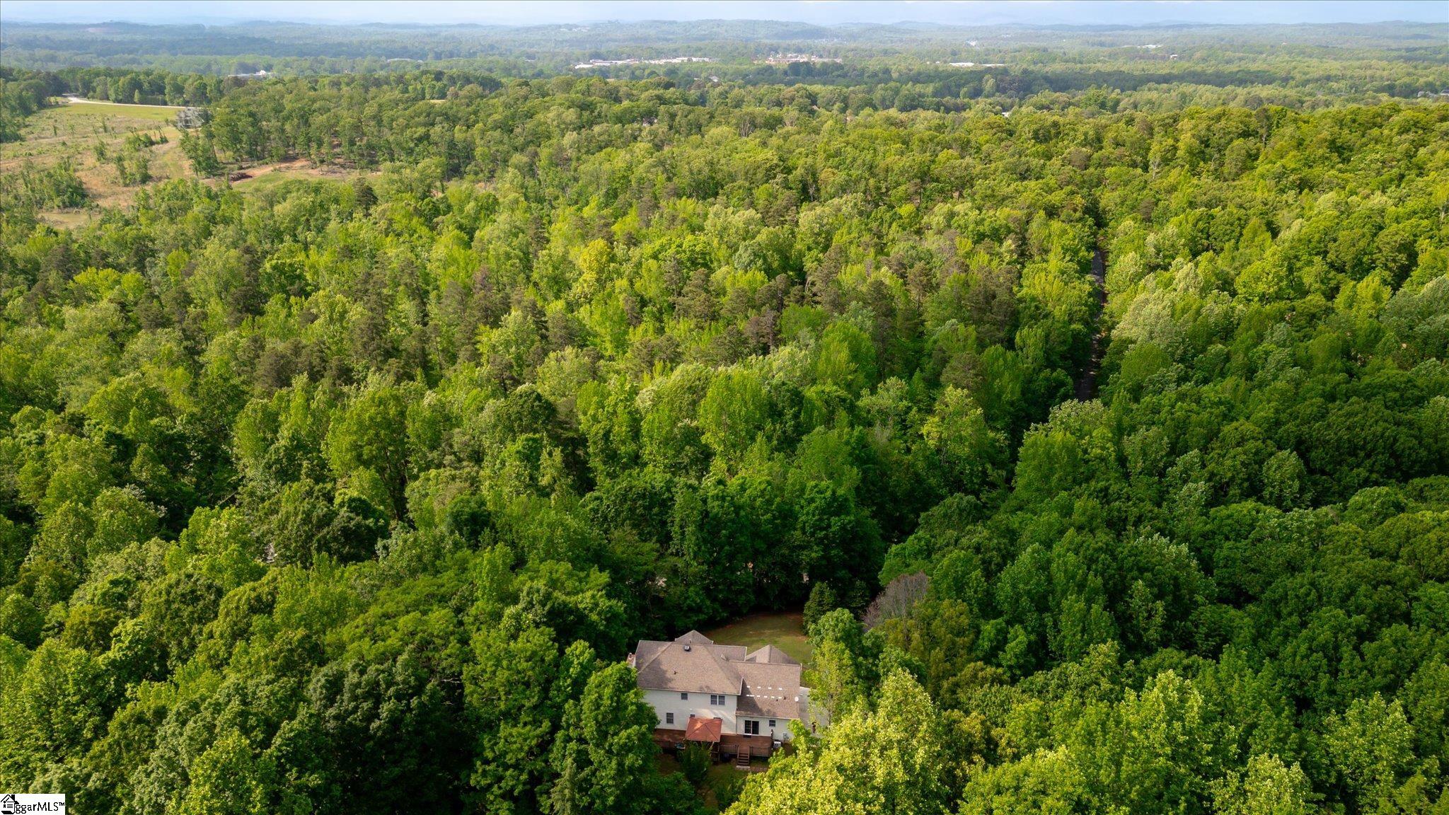 49 Pleasant Valley, Travelers Rest, South Carolina image 44