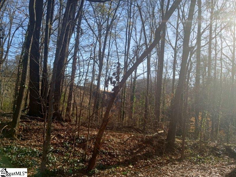 00 Broadview, Spartanburg, South Carolina image 2
