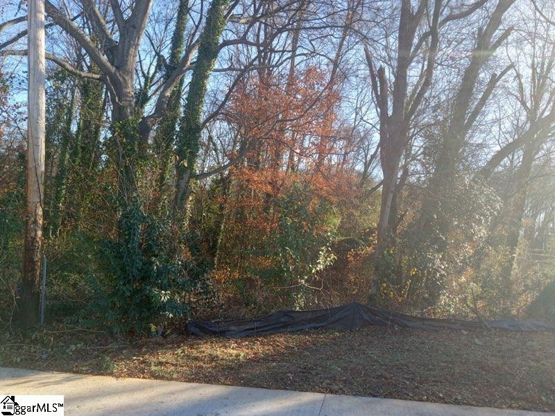 00 Broadview, Spartanburg, South Carolina image 4