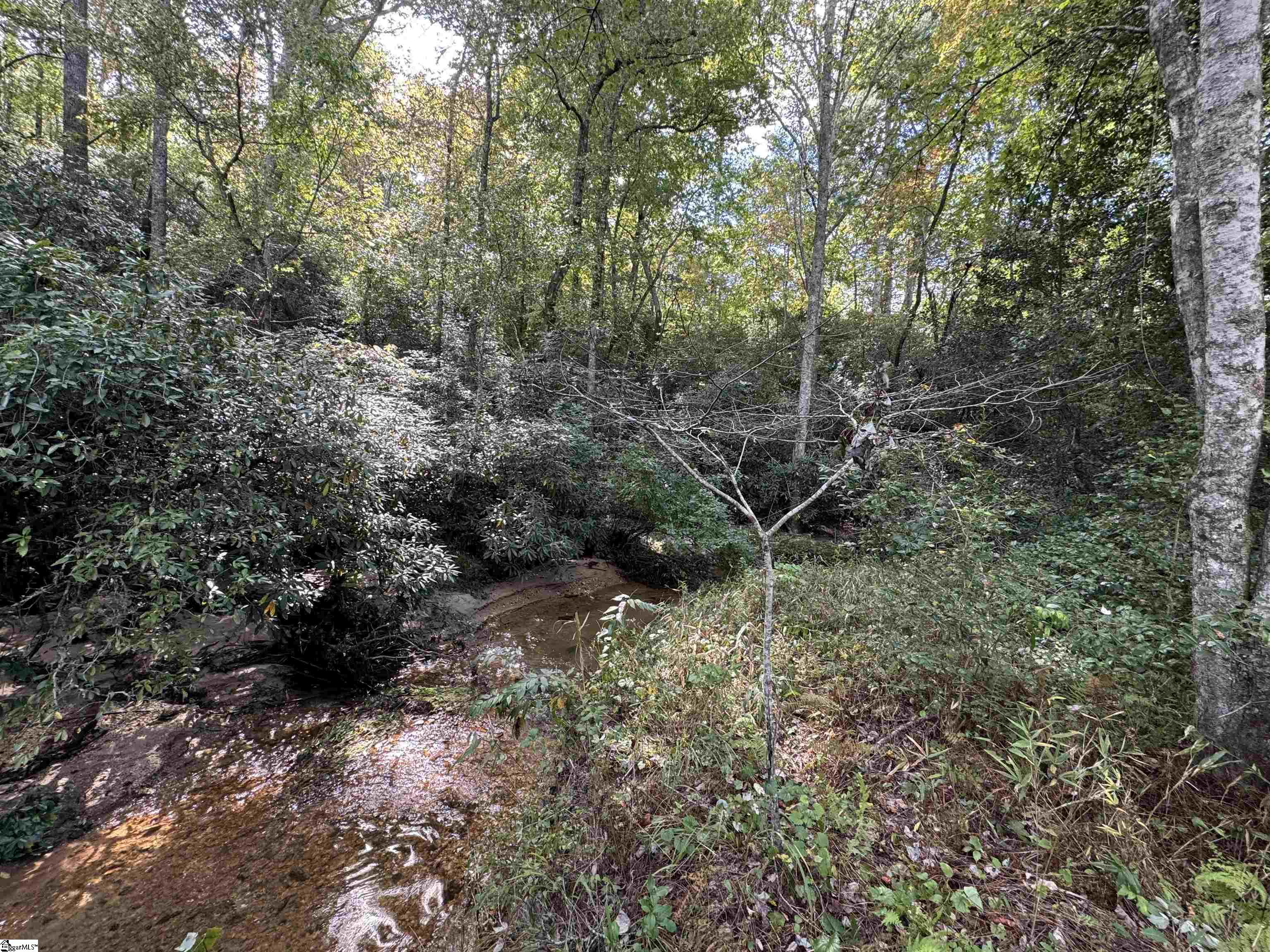 2160 Battlecreek, Long Creek, South Carolina image 4