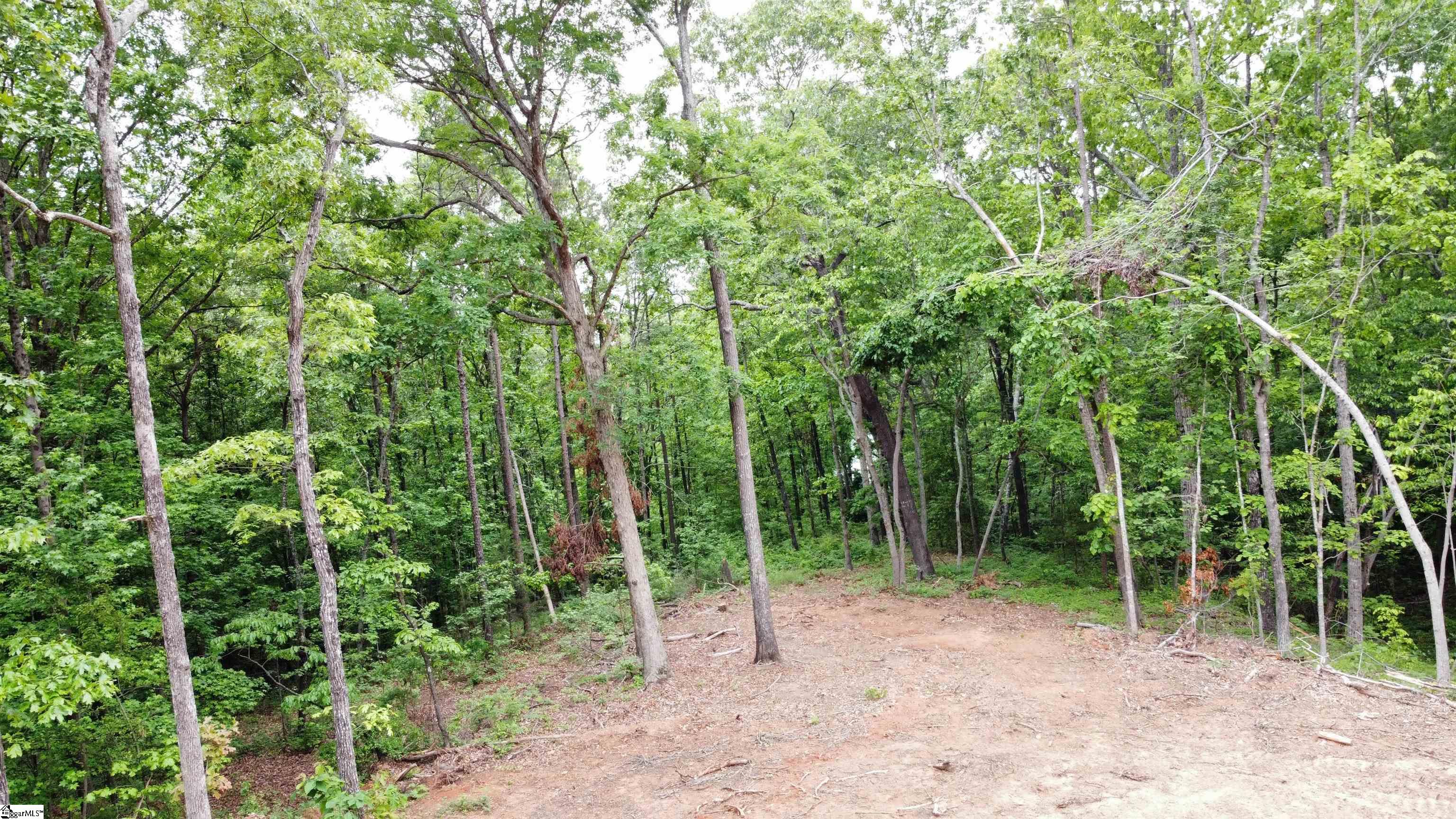 5504 Highway 24, Anderson, South Carolina image 3